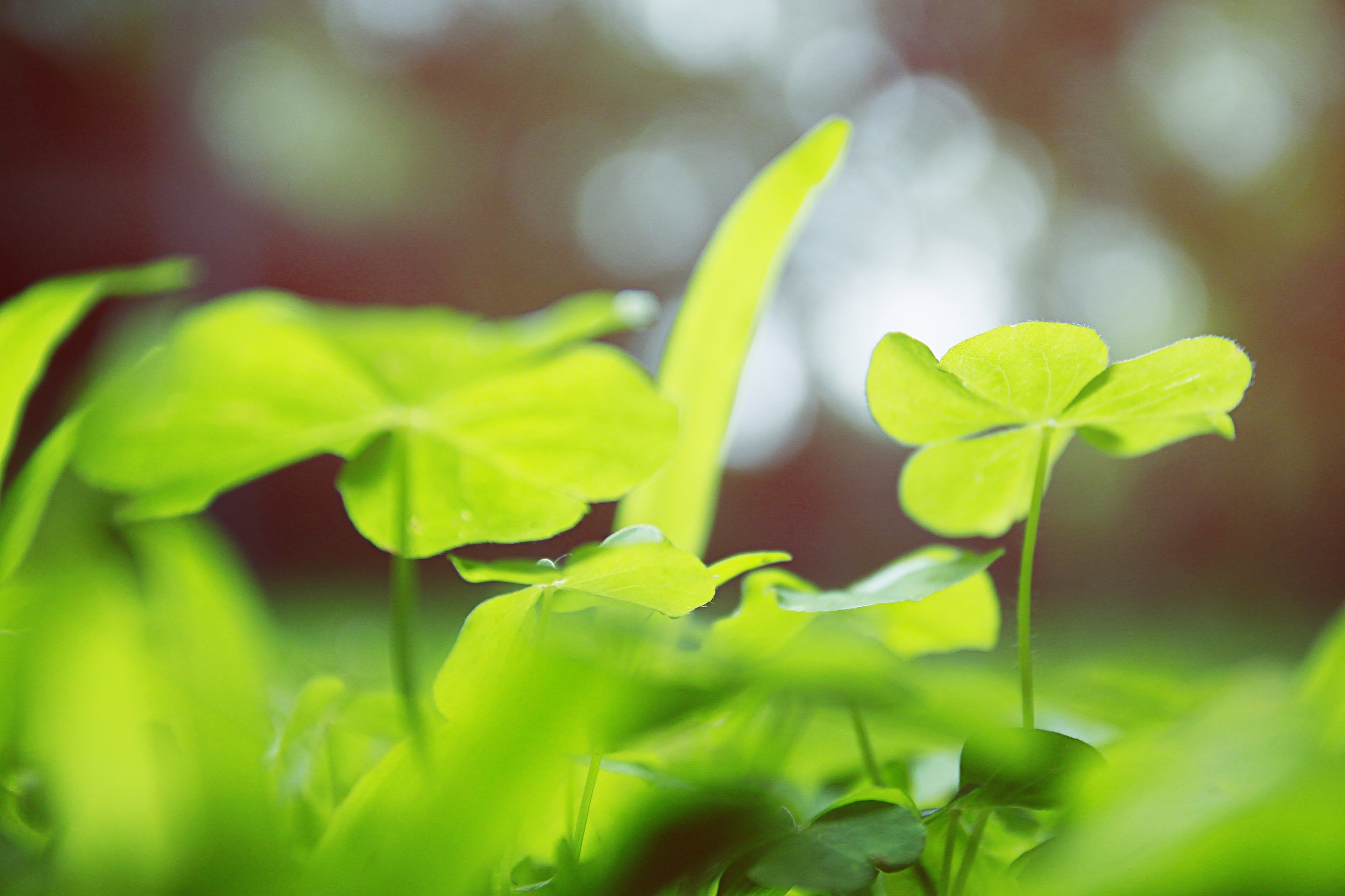 小清新 非主流 LOMO 意境 摄影 儿童桌面专用