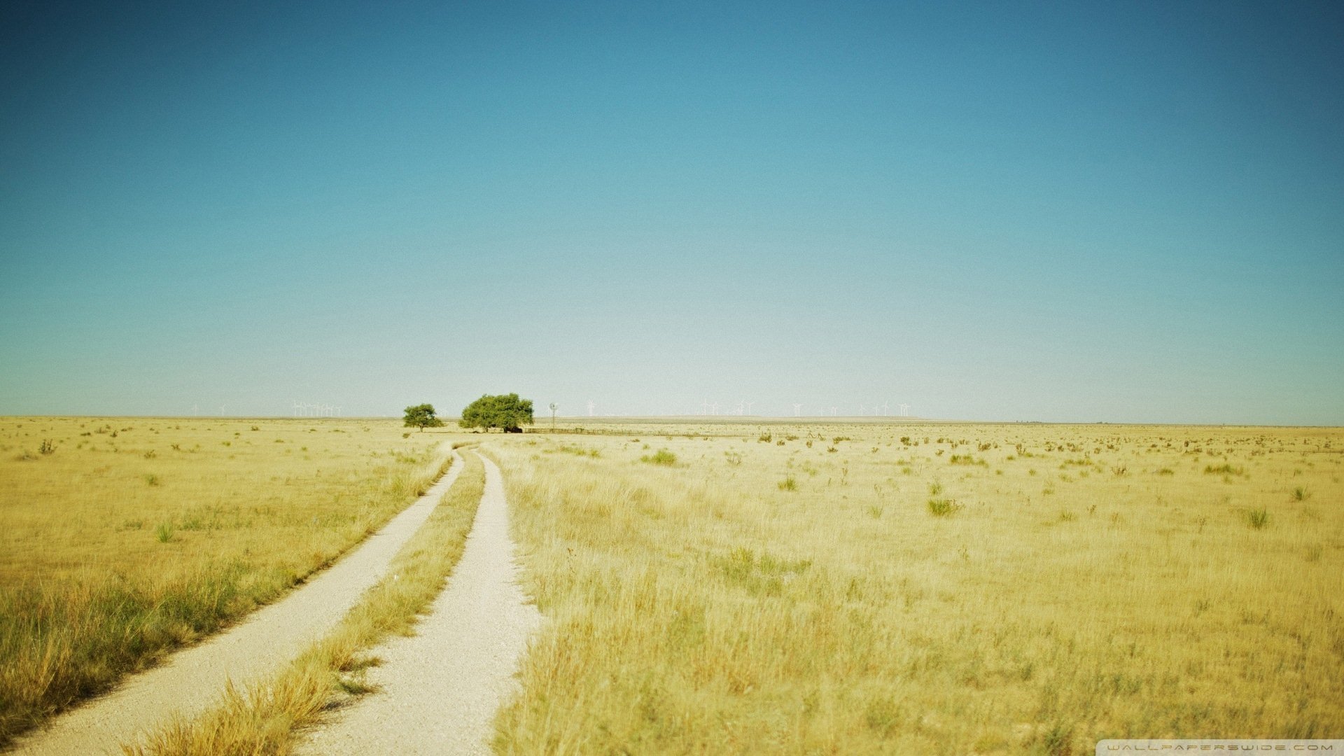 小清新 唯美 温暖 安静 阳光 温馨 儿童桌面专用