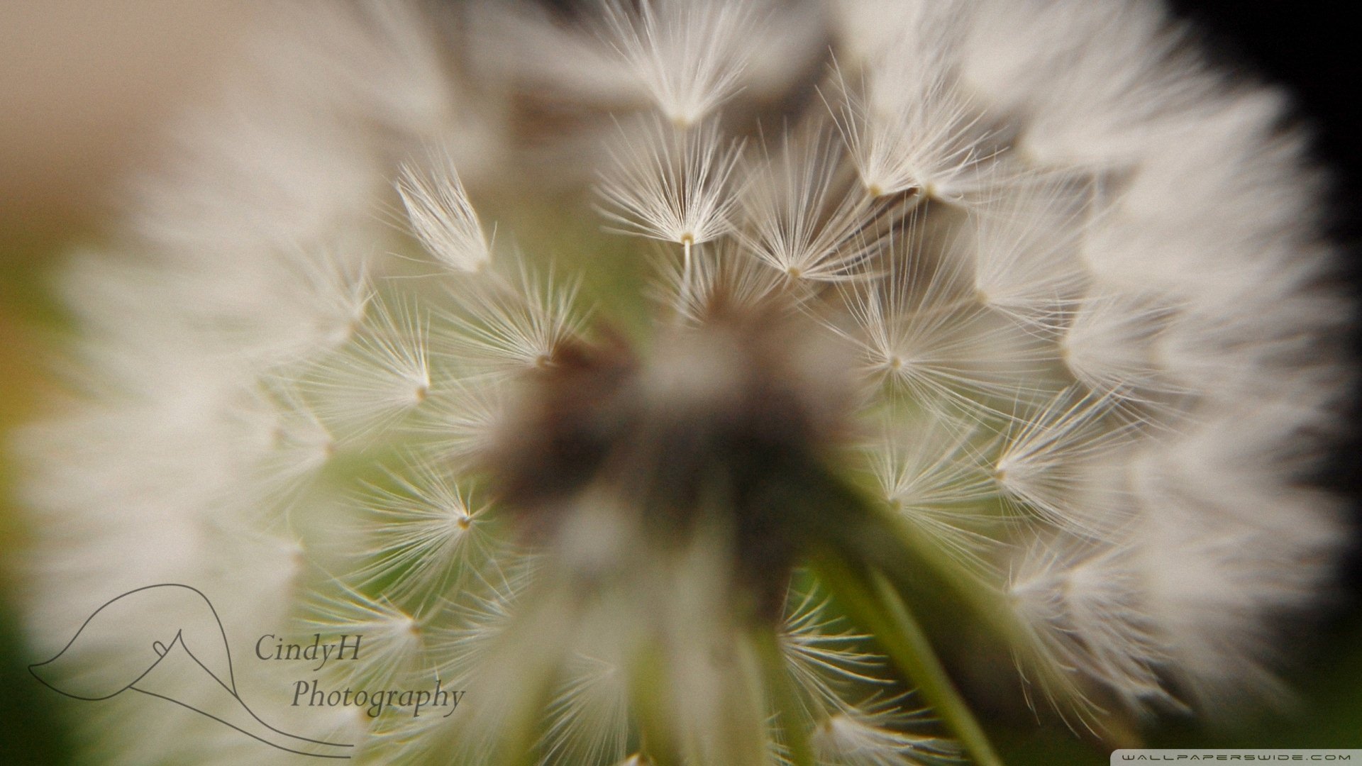 小清新 唯美 温暖 安静 阳光 温馨 儿童桌面专用