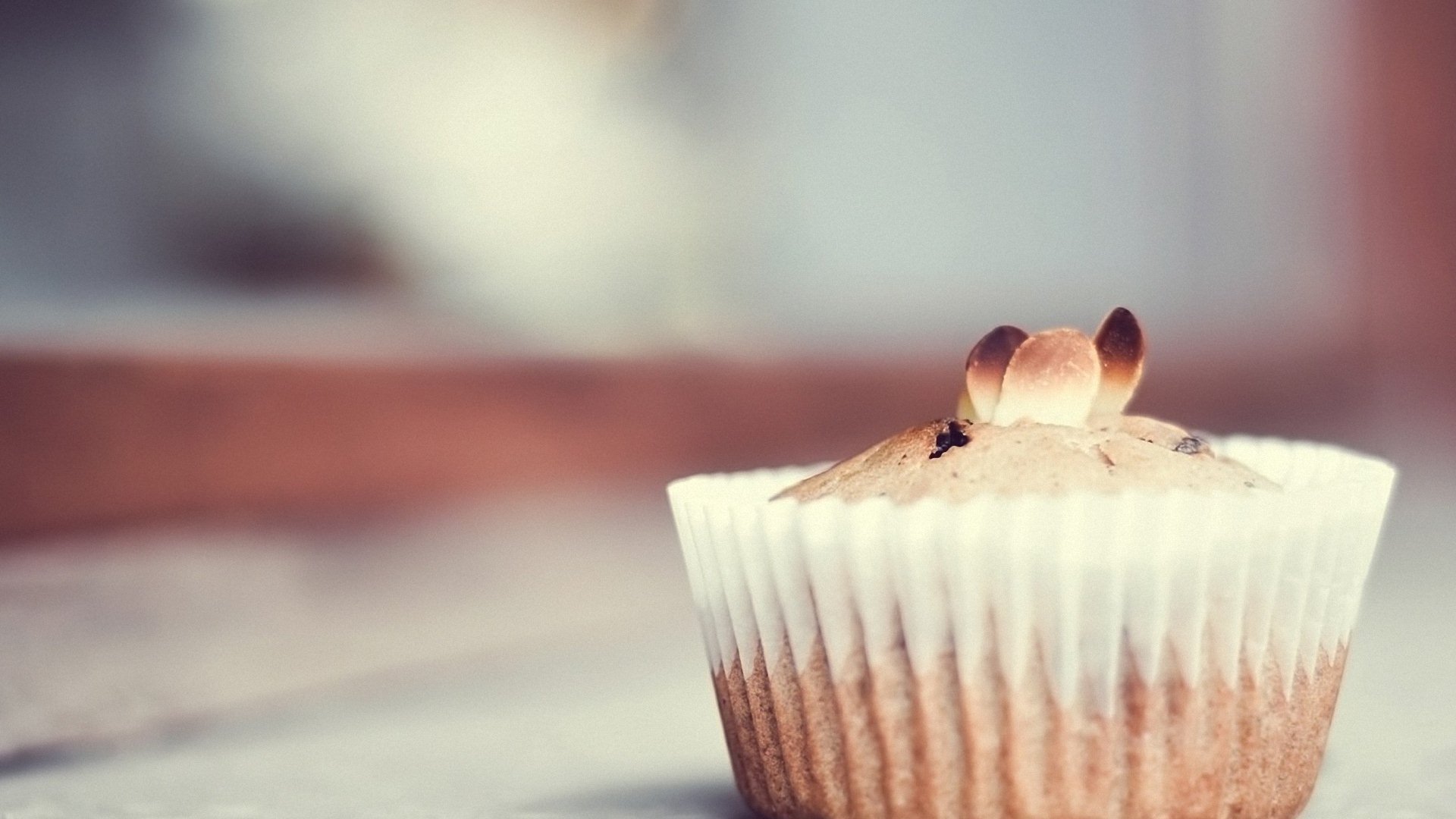 小清新 唯美 温暖 安静 阳光 温馨 儿童桌面专用