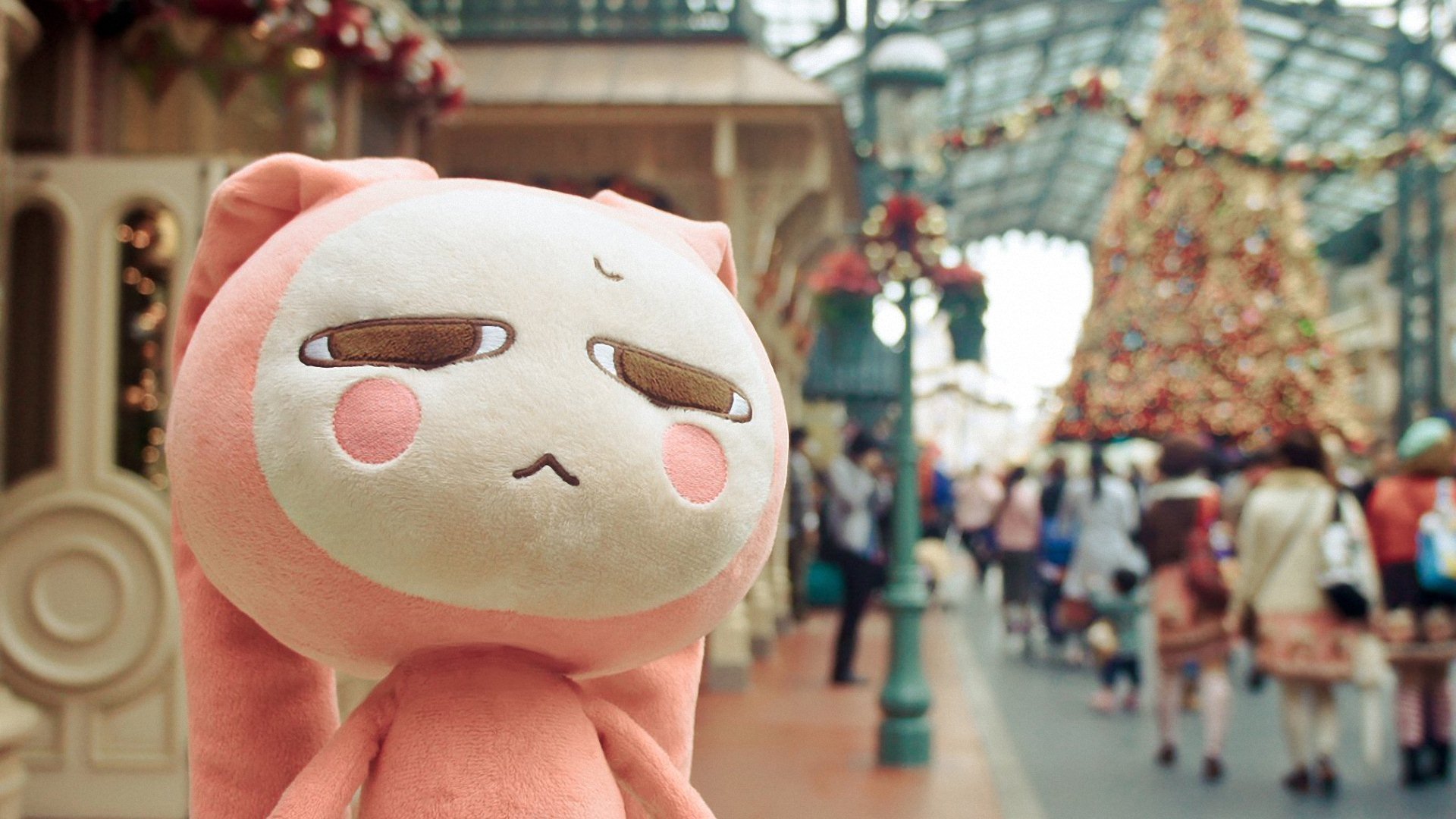 小清新 唯美 温暖 安静 阳光 温馨 儿童桌面专用