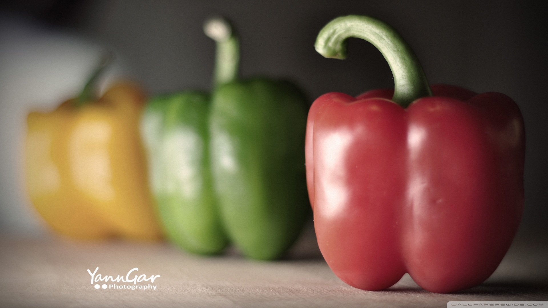 小清新 唯美 温暖 安静 阳光 温馨 儿童桌面专用