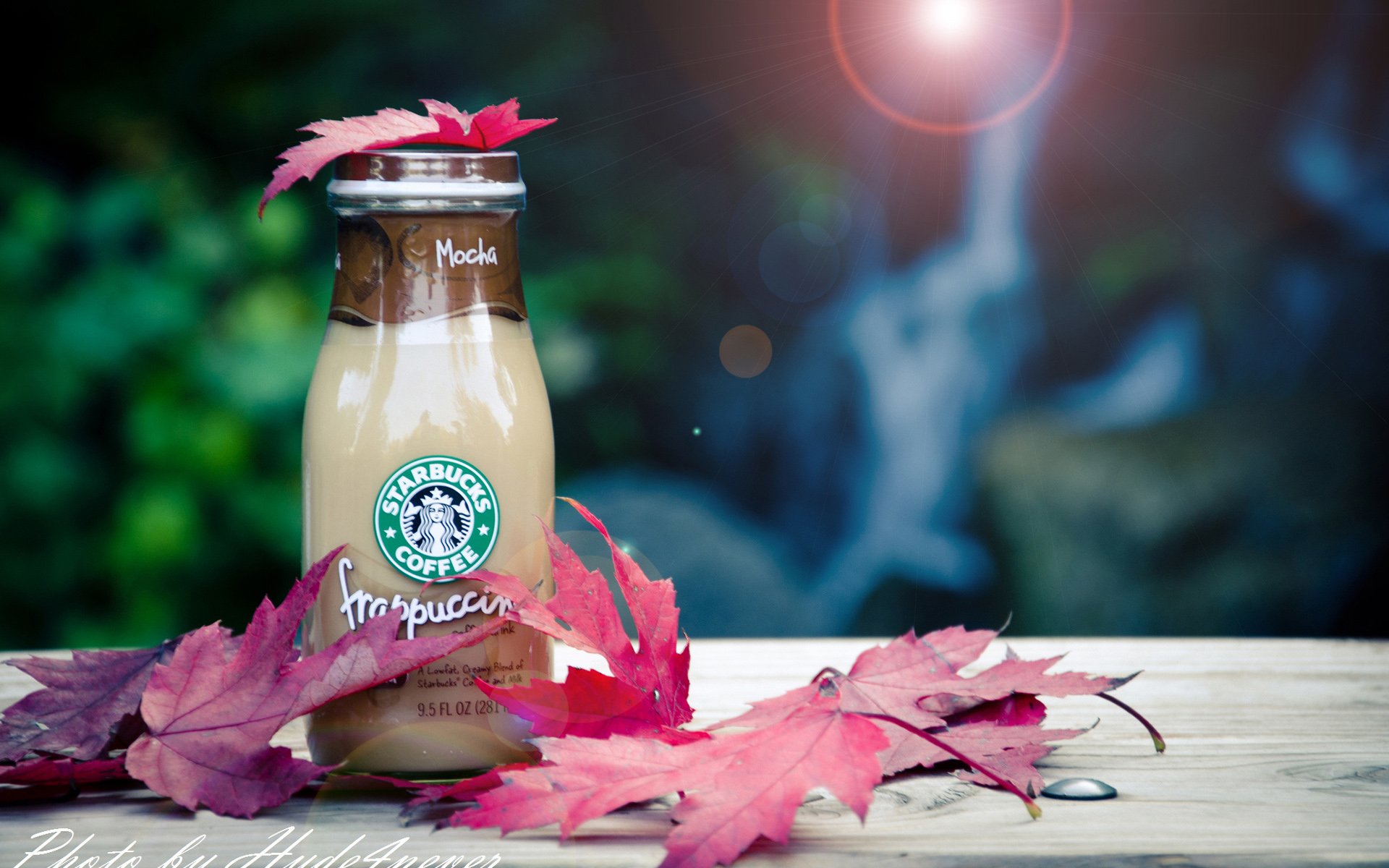 小清新 唯美 温馨 温暖 阳光 治愈系 安静 生活 慢生活 杯子 静物写真 物语 孤独 等待 星巴克 咖啡