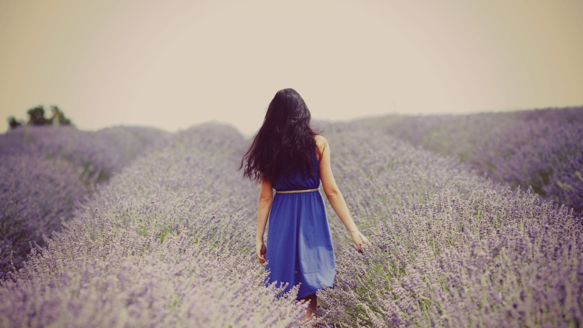 小清新 唯美 温馨 温暖 阳光 治愈系 安静 生活 慢生活 清新淡雅 温馨一刻 孤单 寂寞 离开 等待 伤感 一个人