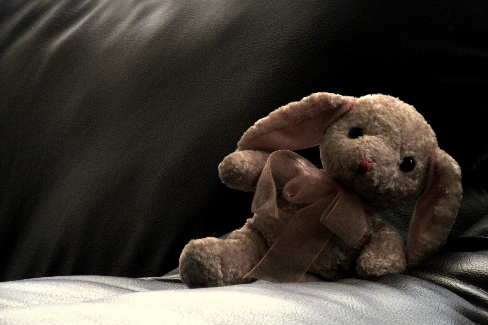 小清新 唯美 温馨 温暖 阳光 治愈系 安静 生活 慢生活 清新淡雅 温馨一刻 静物写真 物语  兔子 孤单 寂寞 等待 一个人