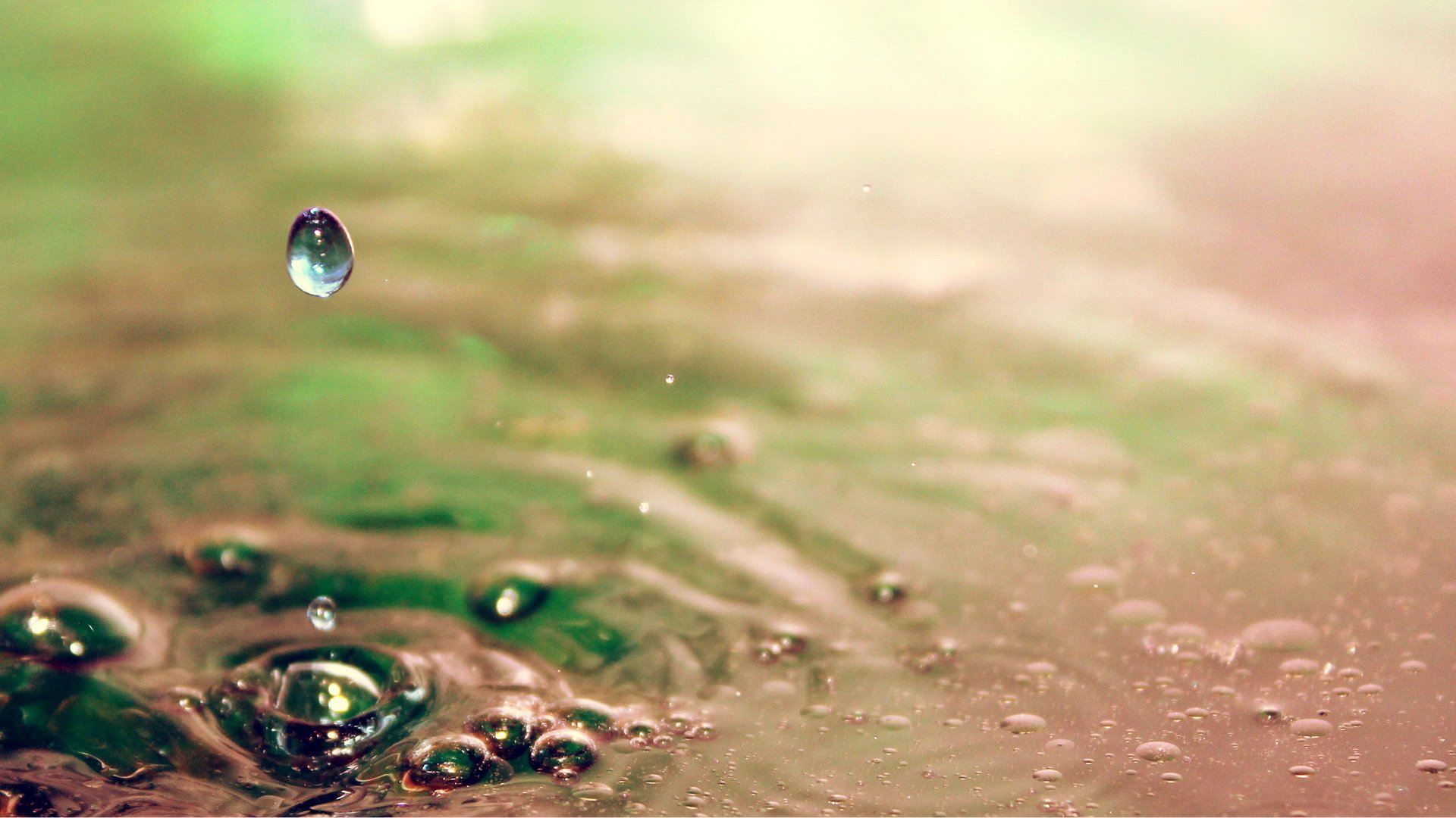 小清新 唯美 温馨 温暖 阳光 治愈系 安静 生活 慢生活 清新淡雅 温馨一刻 露珠