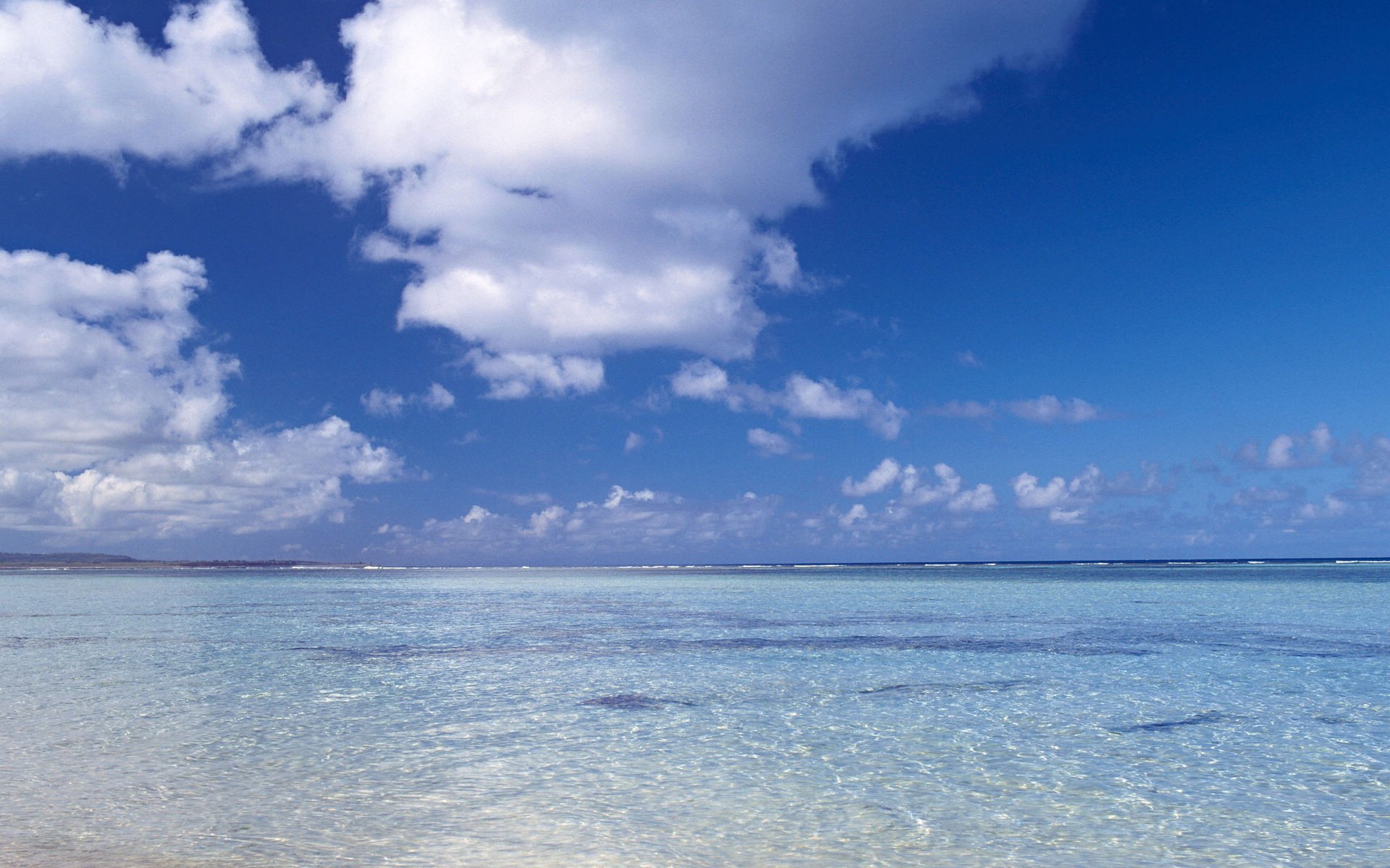 小清新 唯美 温馨 温暖 阳光 治愈系 安静 生活 慢生活 清新淡雅 温馨一刻 蓝天白云 热气球 梦想