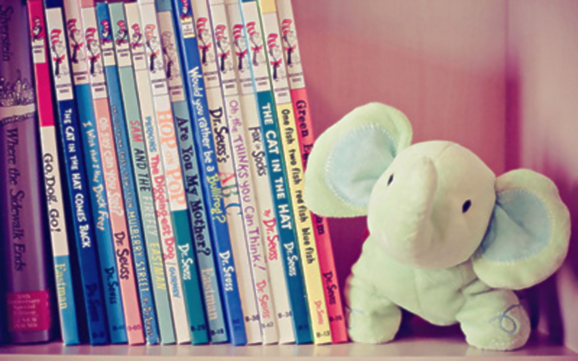 小清新 唯美 温馨 温暖 阳光 治愈系 安静 生活 慢生活 清新淡雅 温馨一刻 静物写真 小象