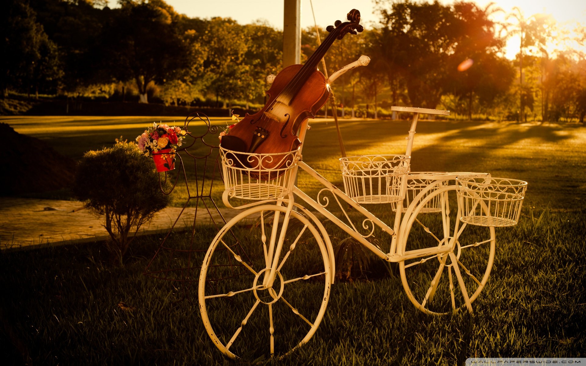 小清新 唯美 温馨 温暖 阳光 治愈系 安静 生活 慢生活 清新淡雅 温馨一刻 自行车 单车  小提琴