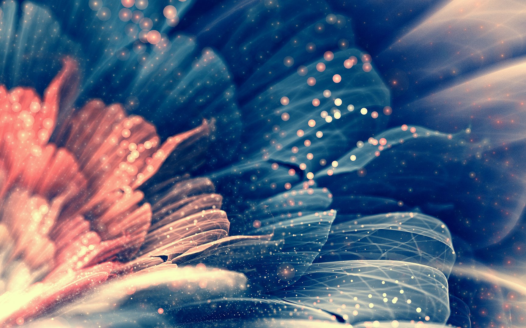 炫酷 特效 视觉艺术分形艺术  花 艺术 设计 色彩 炫彩