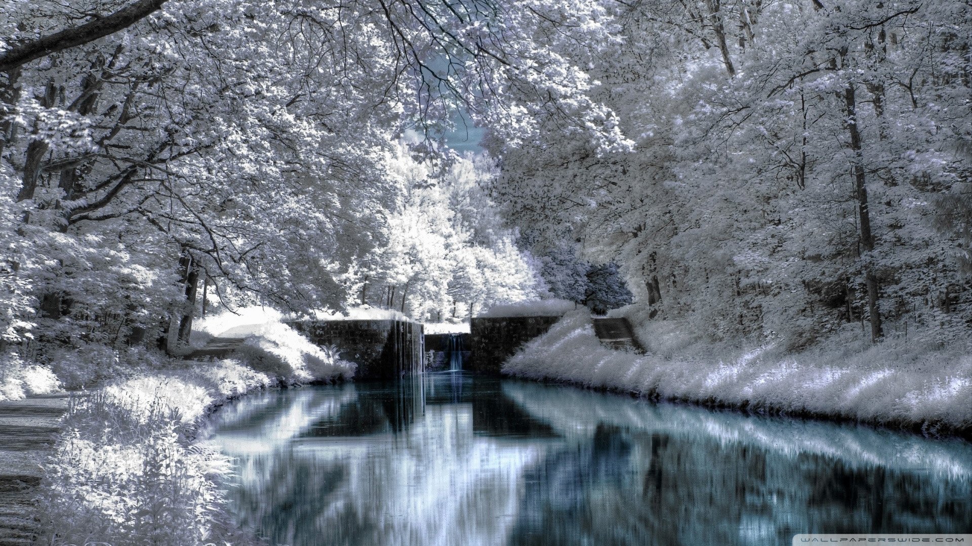 自然 风光 风景 冰天雪地 雪 冬天 冷 寒冷
