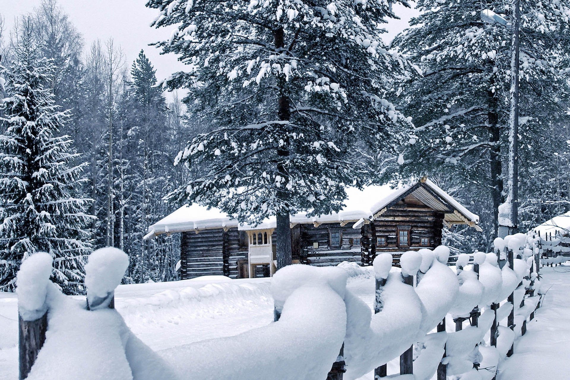 自然 风光 风景 冰天雪地 雪 冬天 冷 寒冷