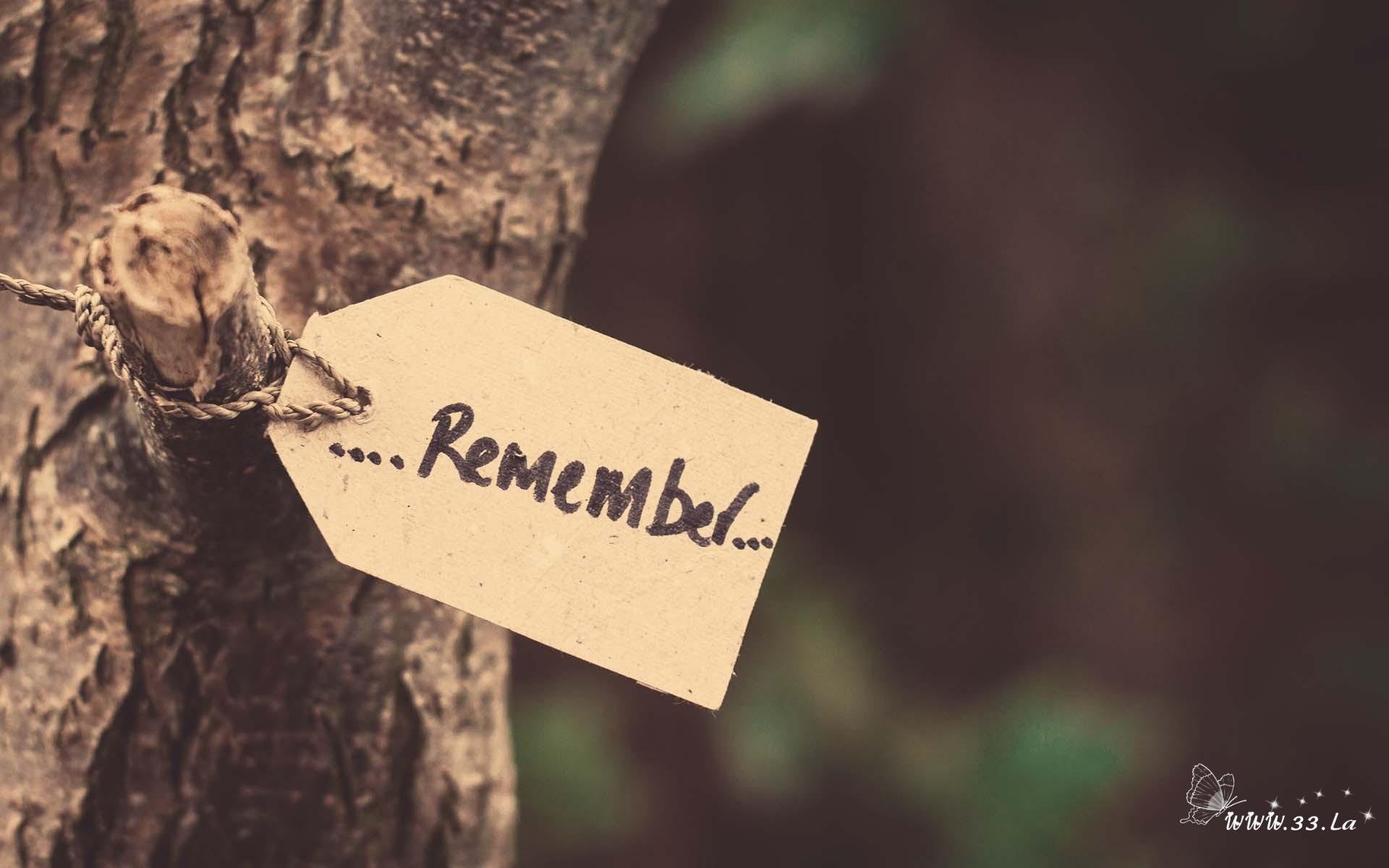 浪漫 爱情 情感 爱 love 唯美 清新 文字 爱情箴言 英文 清新 唯美 英文