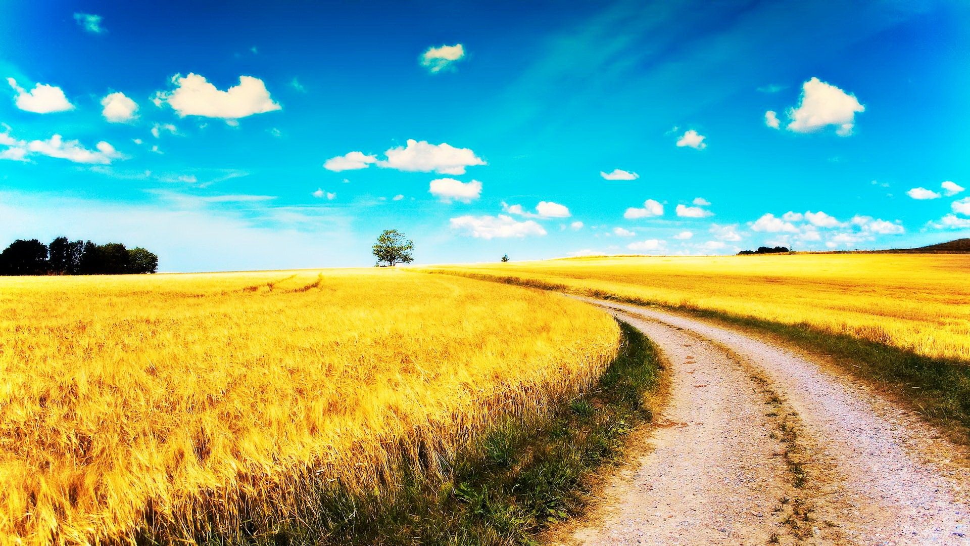 自然 风光 风景 路 前方 方向 前进