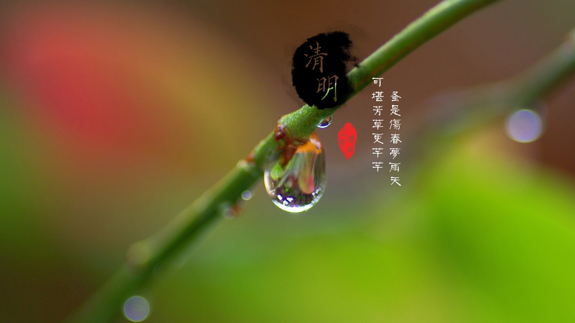 清明节 古风 古诗 诗句 意境 节气 24节气 二十四节气 @姑凉_你又瘦了