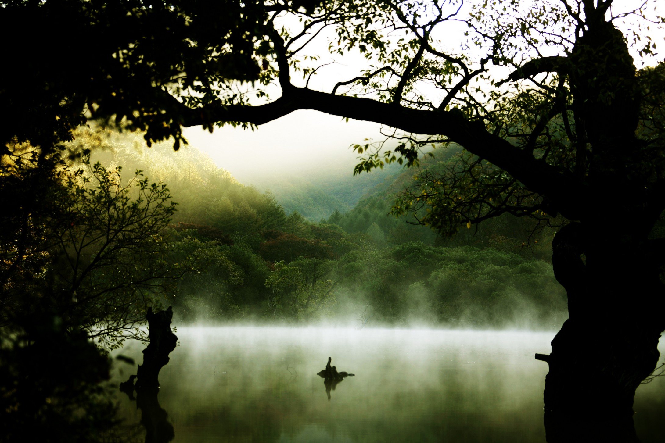 心静者高 风景 云雾 唯美 意境 古风