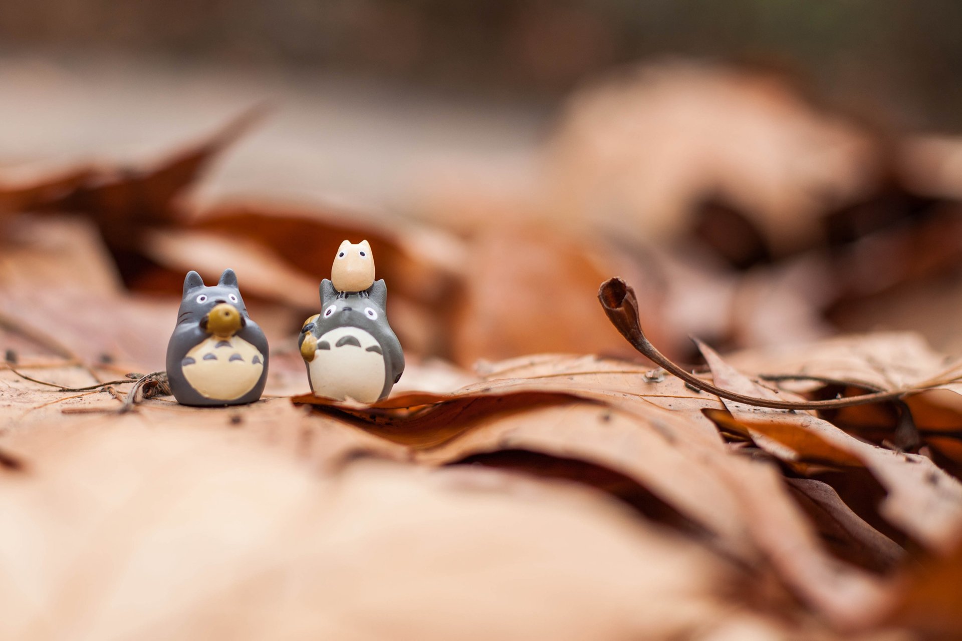 小清新 唯美 温暖 温馨一刻 静物写真 龙猫