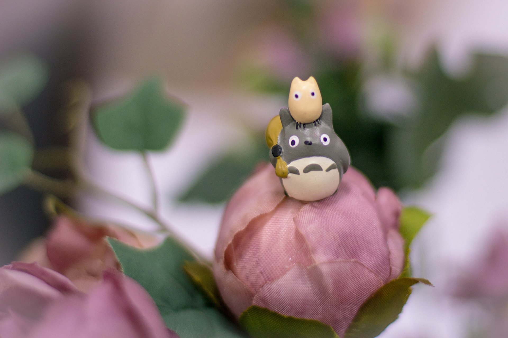 小清新 唯美 温暖 温馨一刻 静物写真 龙猫