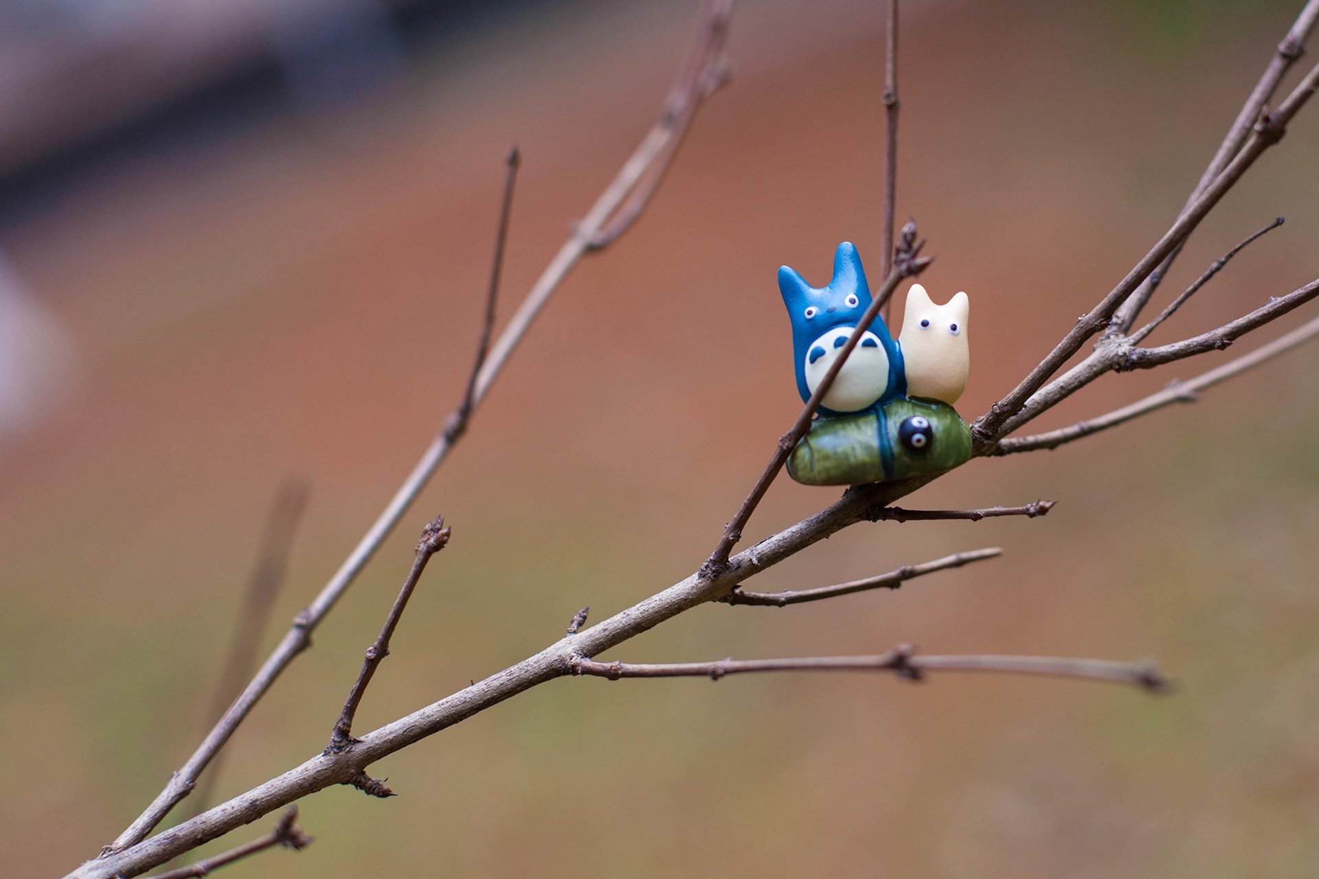 小清新 唯美 温暖 温馨一刻 静物写真 龙猫