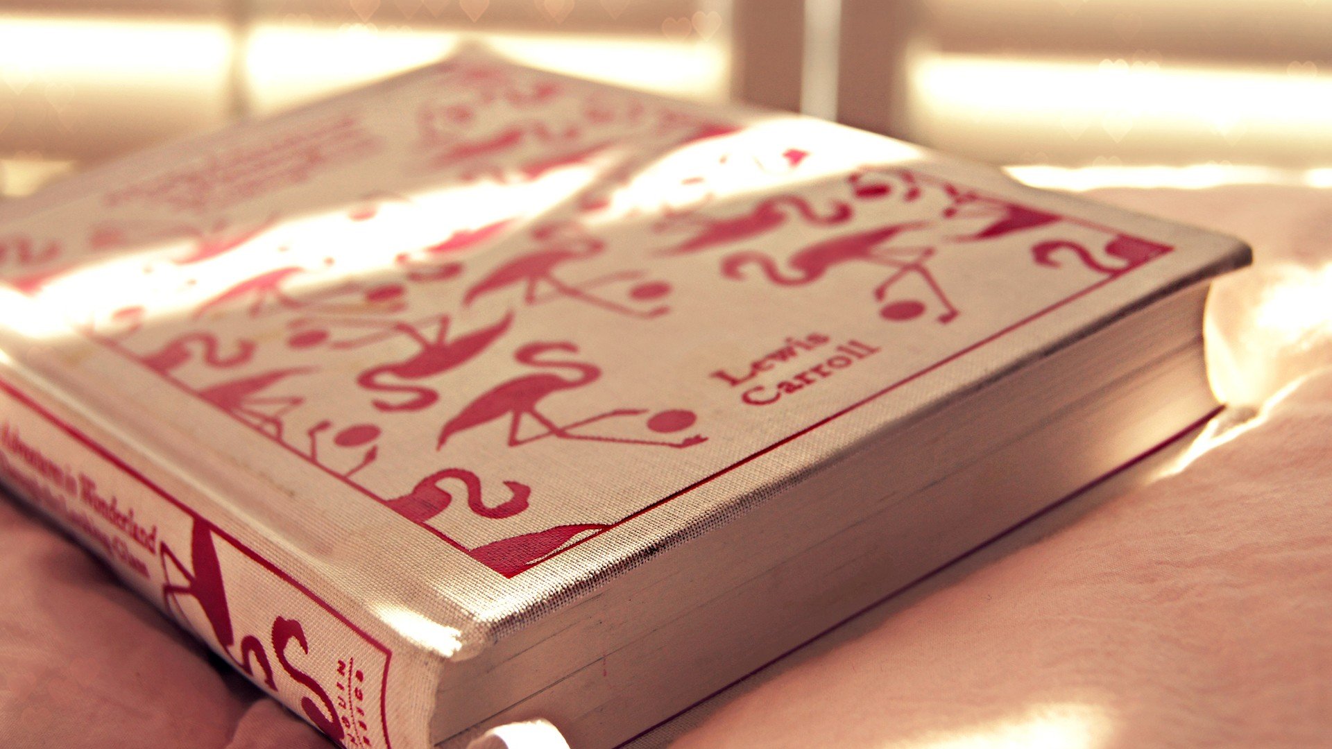 小清新 唯美 温暖 温馨一刻 静物写真