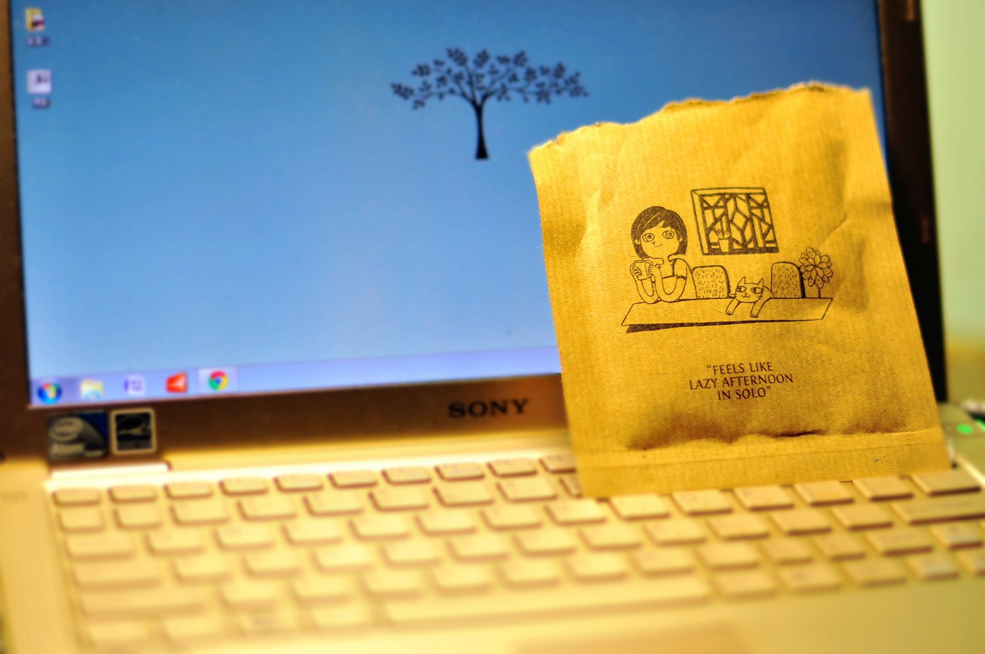 小清新 唯美 温暖 温馨一刻 静物写真