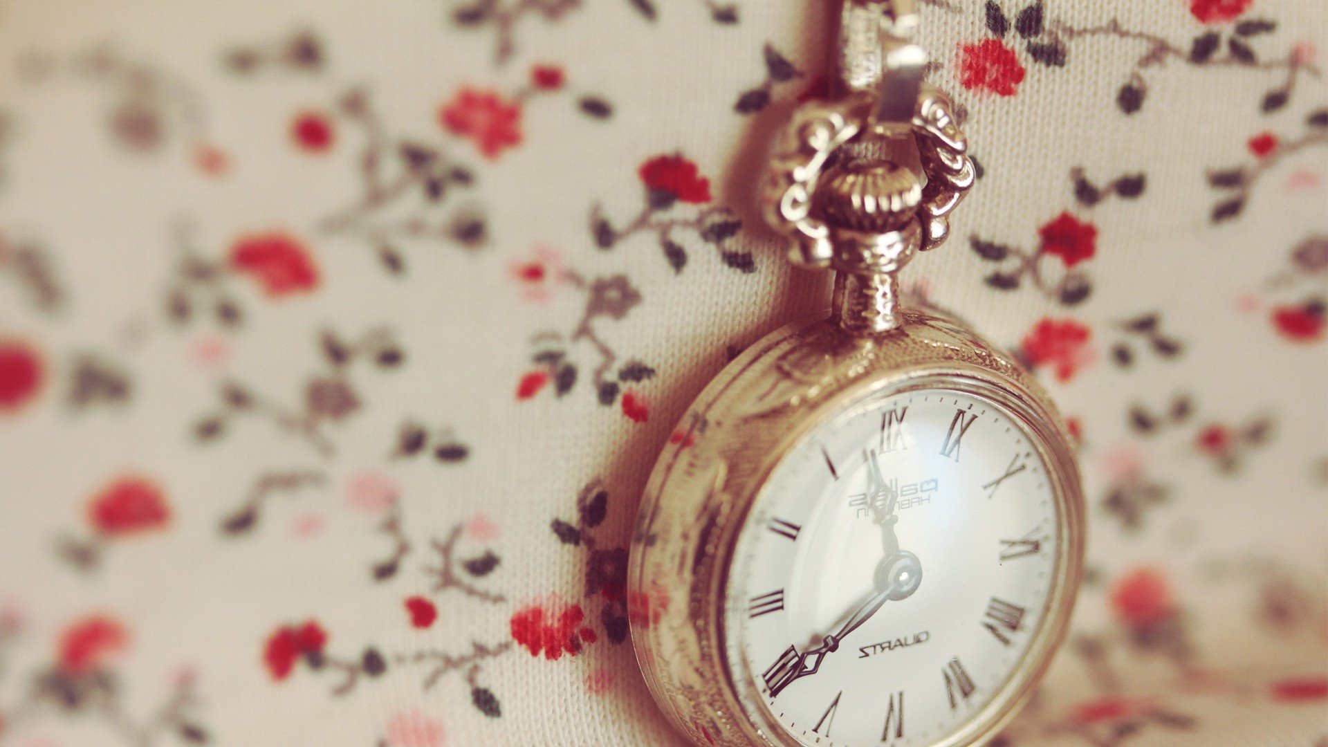 小清新 唯美 温暖 温馨一刻 静物写真