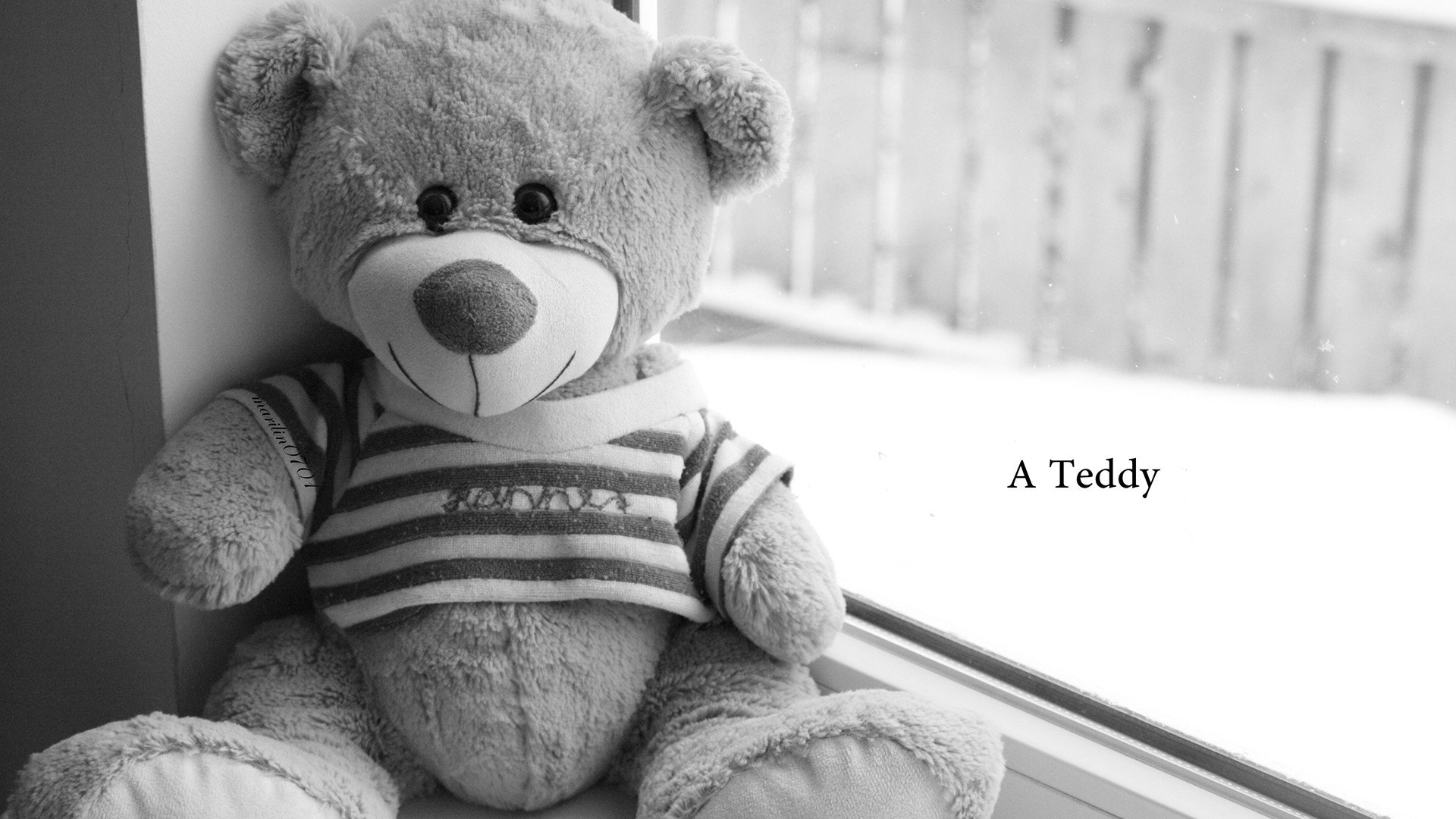 小清新 唯美 温暖 温馨一刻 静物写真