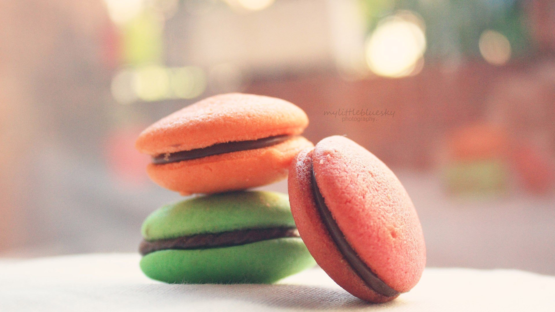 小清新 唯美 温暖 温馨一刻 静物写真