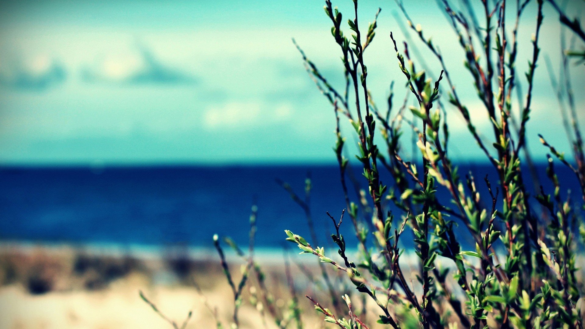 温馨一刻 小清新 风景 LOMO 复古 怀念