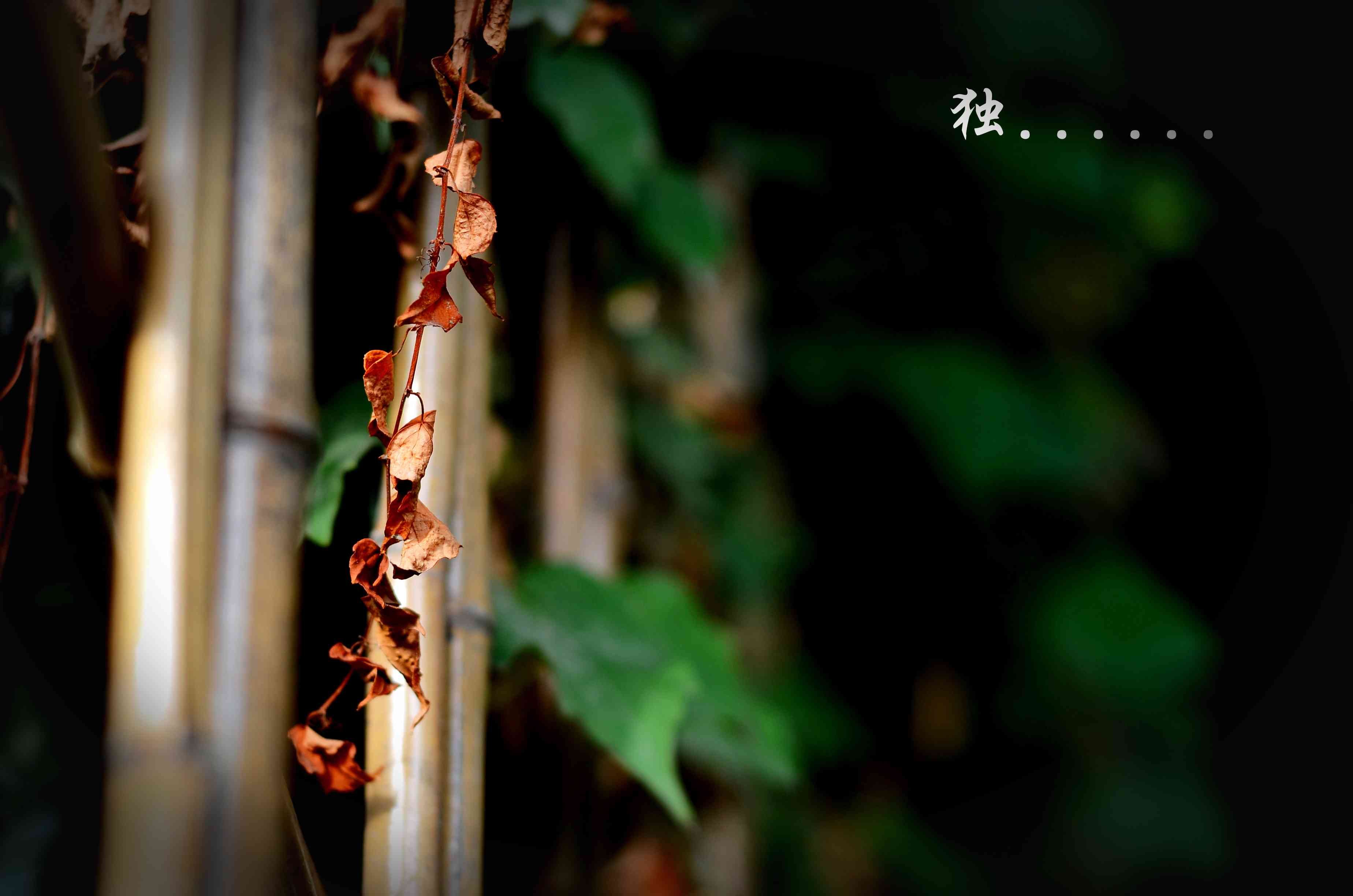 温馨一刻 小清新 风景 LOMO 复古 怀念