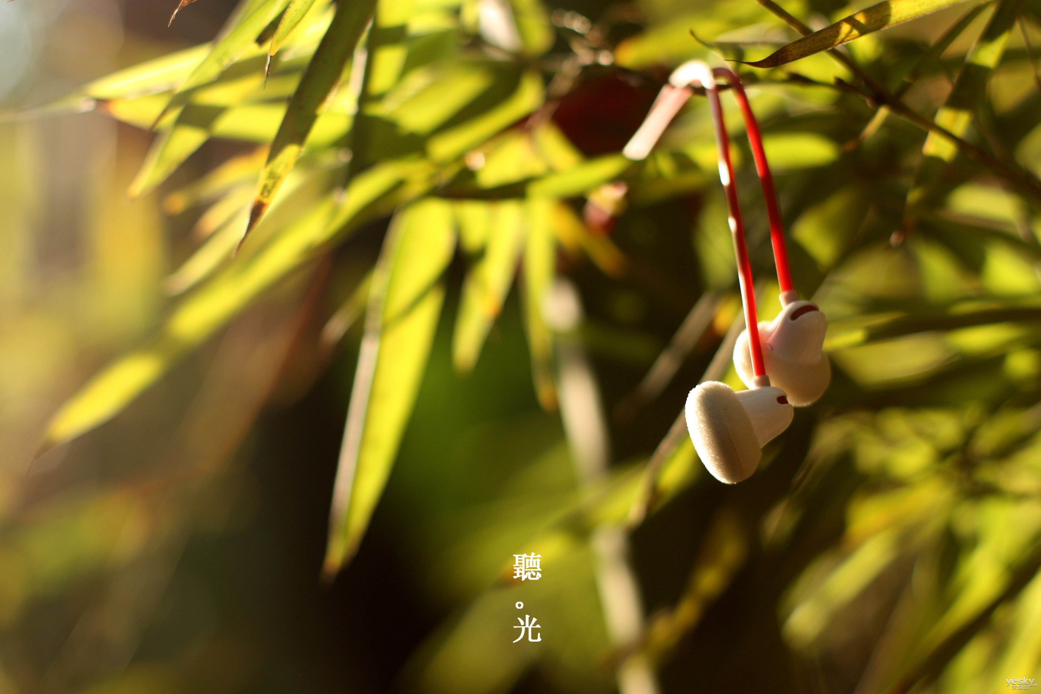 小清新 唯美 温暖 安静