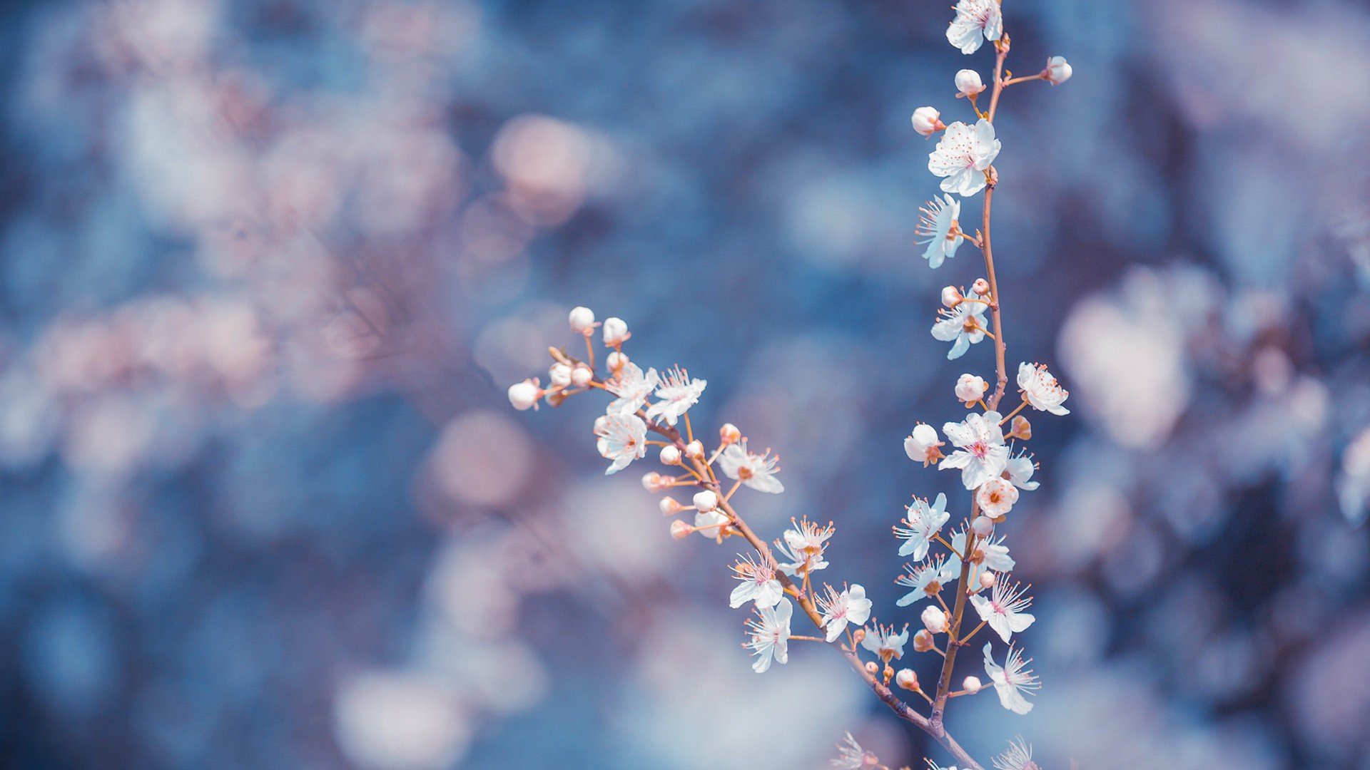 小清新 唯美 温暖 安静