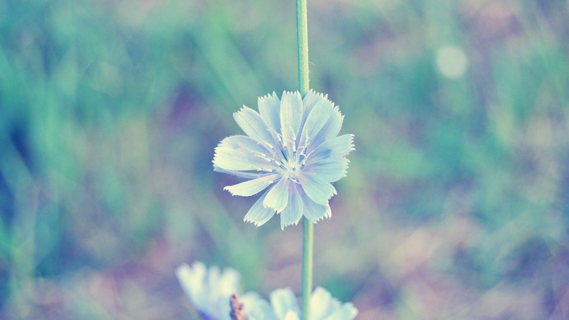 小清新 唯美 温暖 安静