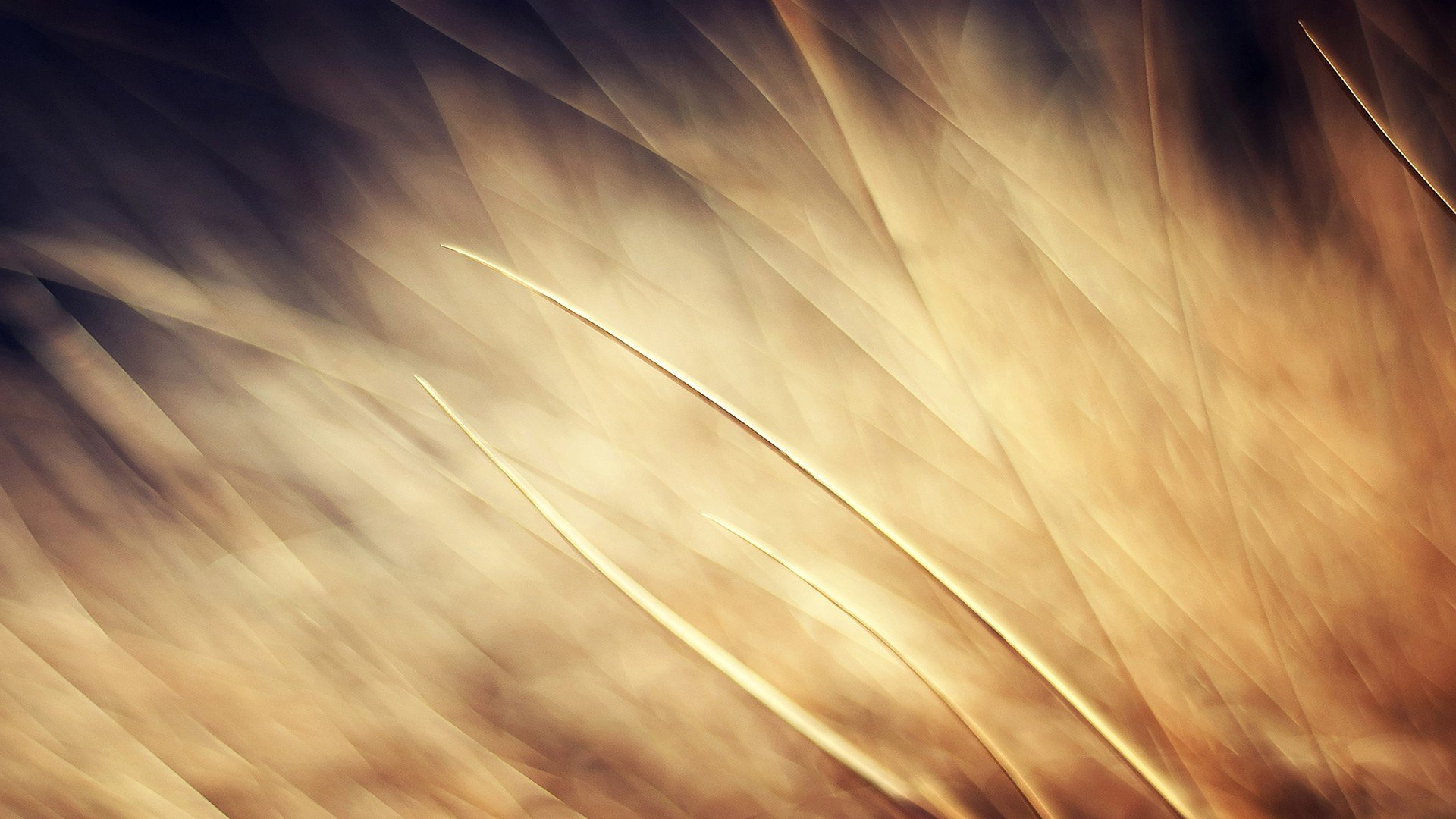 小清新 唯美 温暖 安静