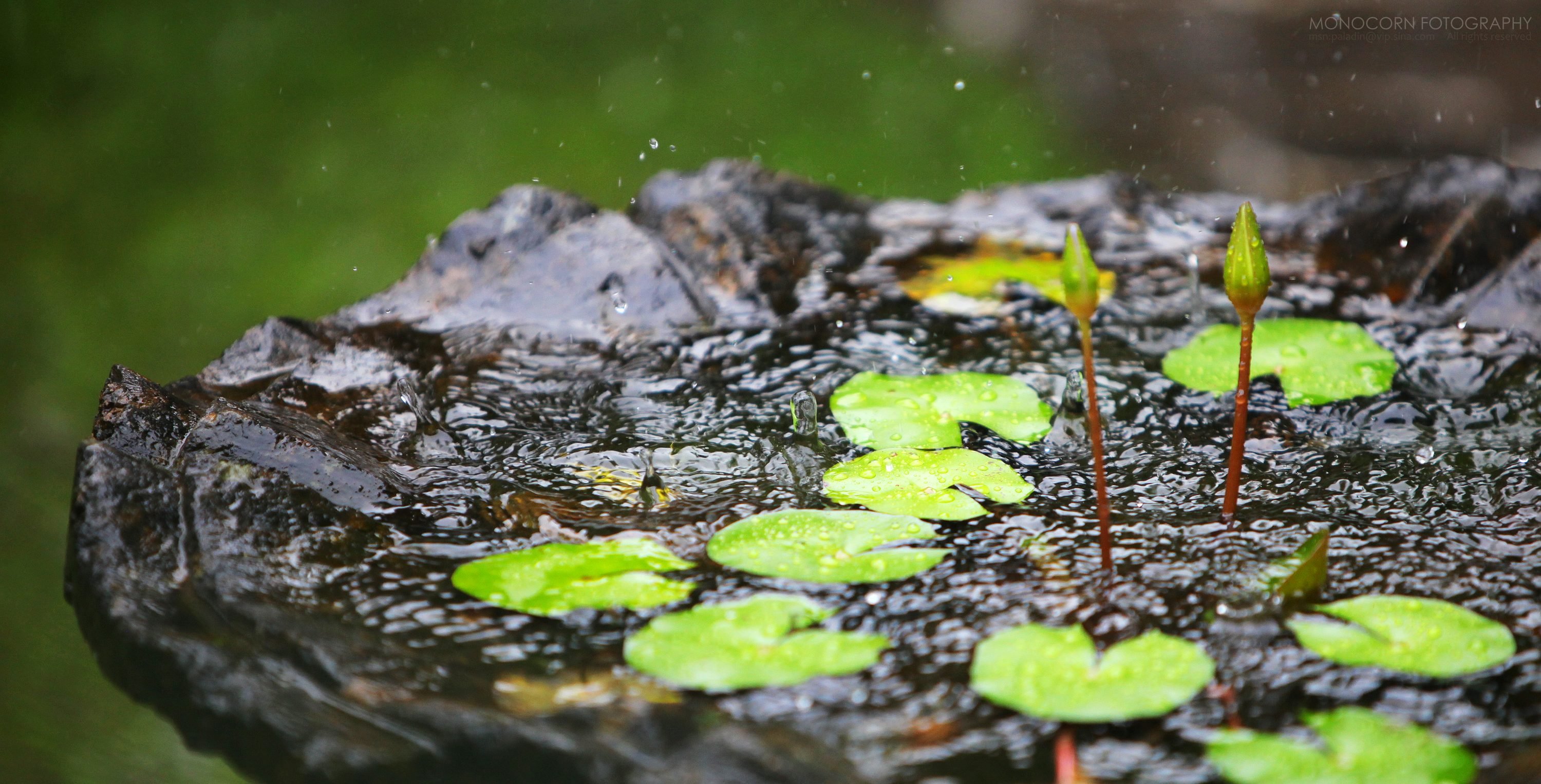 小清新 唯美 温暖 安静