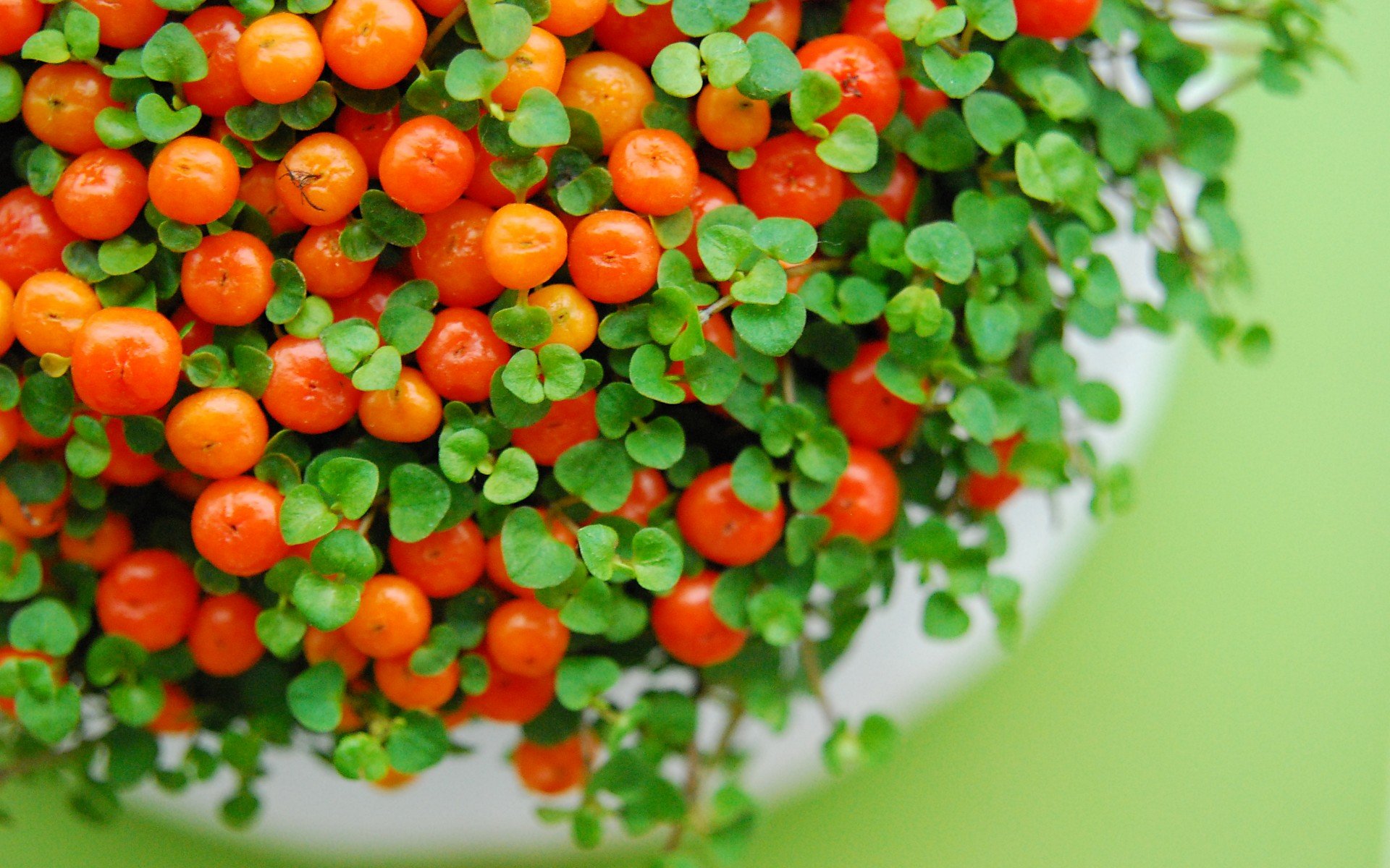 小清新 唯美 温暖 安静