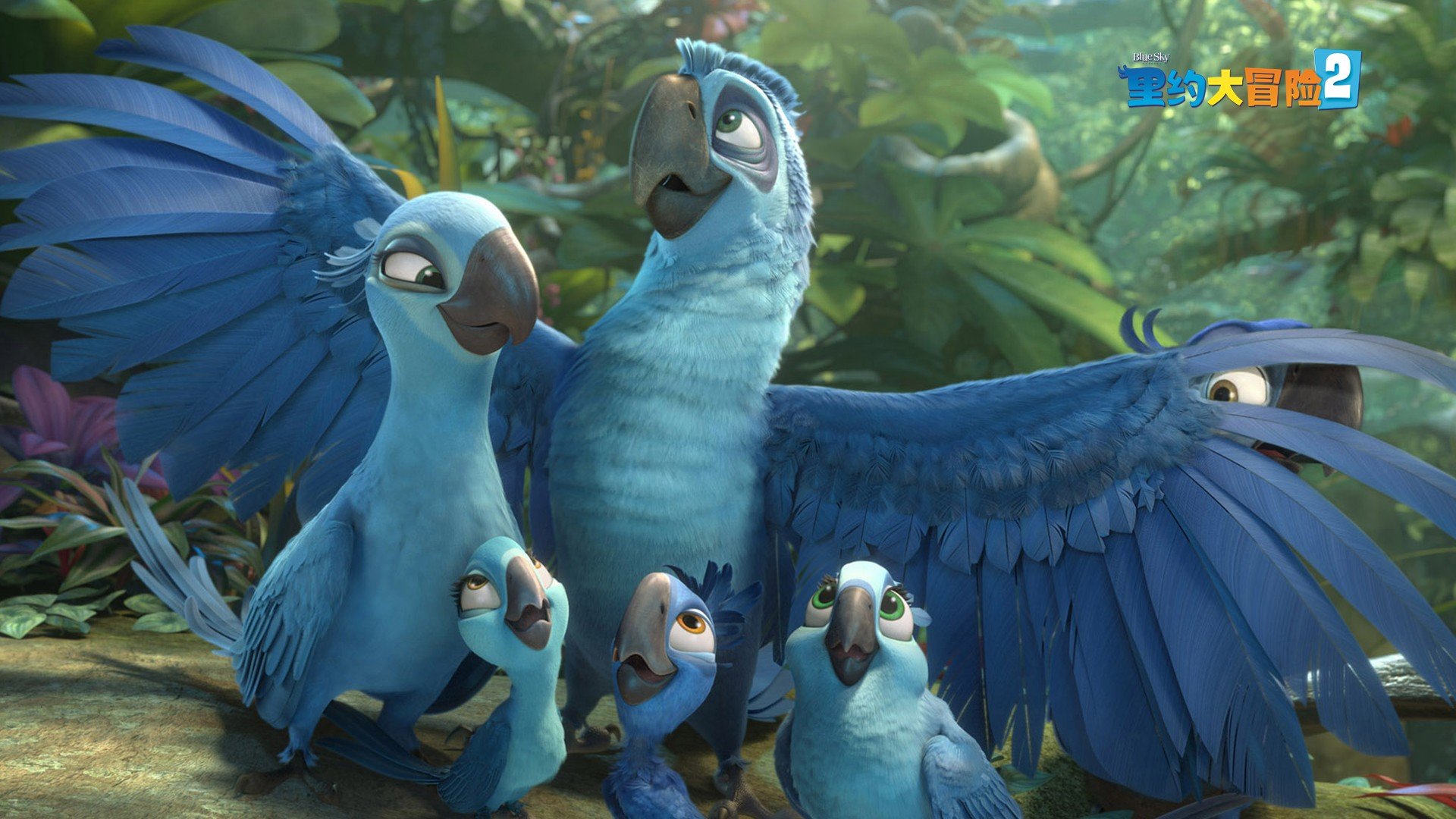 影视剧照 里约大冒险 电影