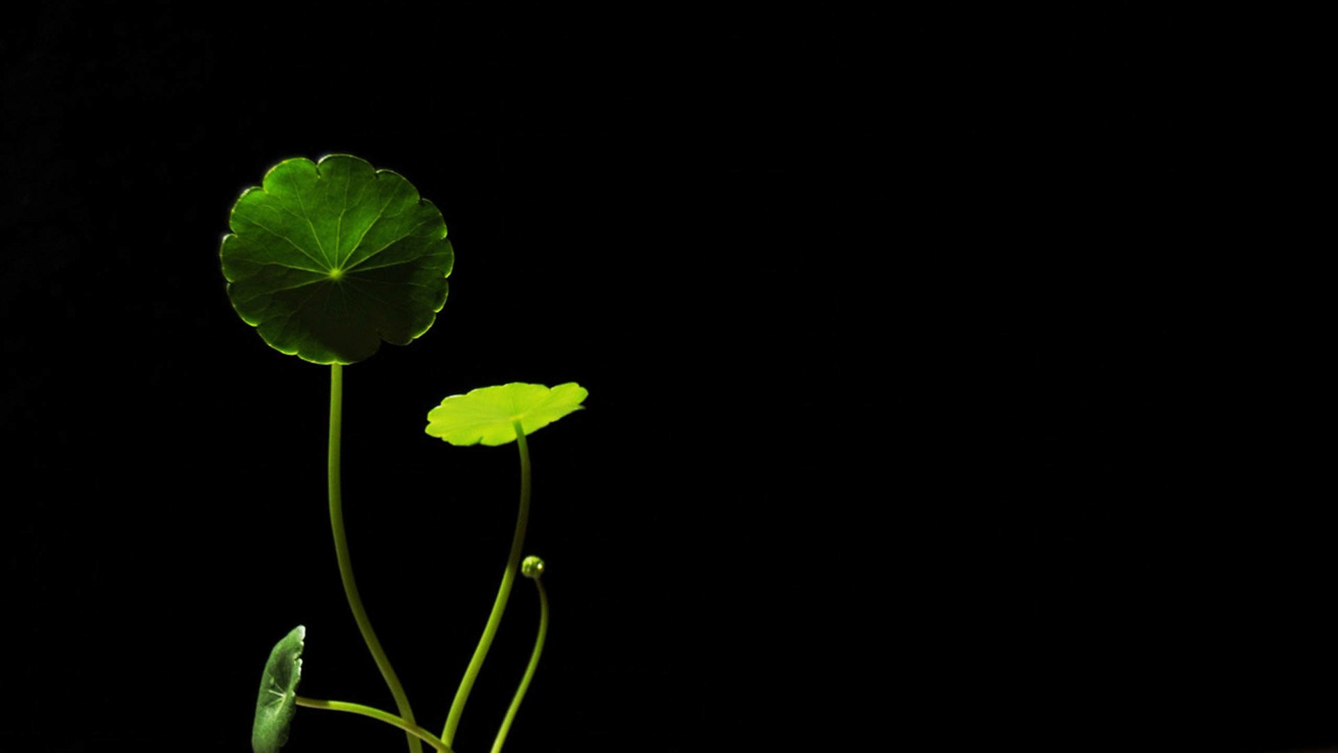 炫酷 简约 质感 特效