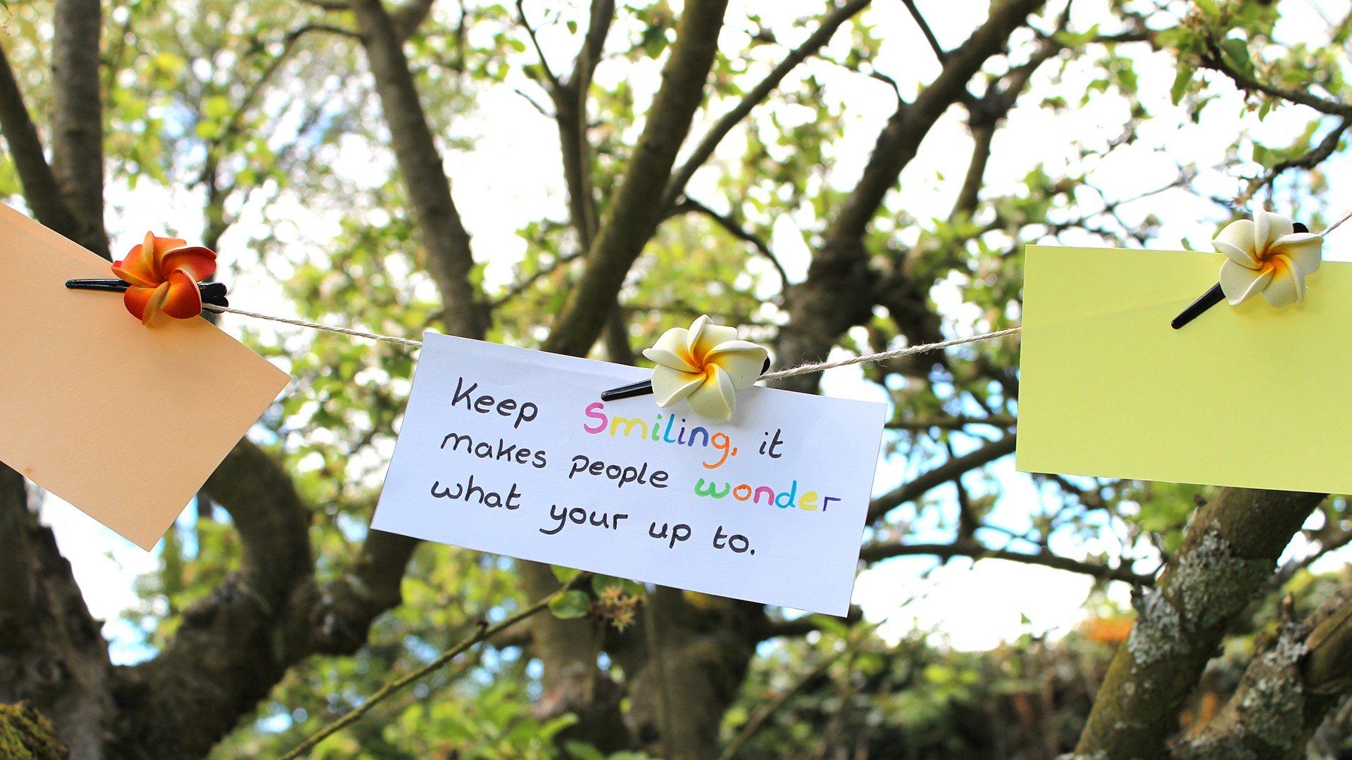 爱情 爱情箴言 文字 浪漫 手写