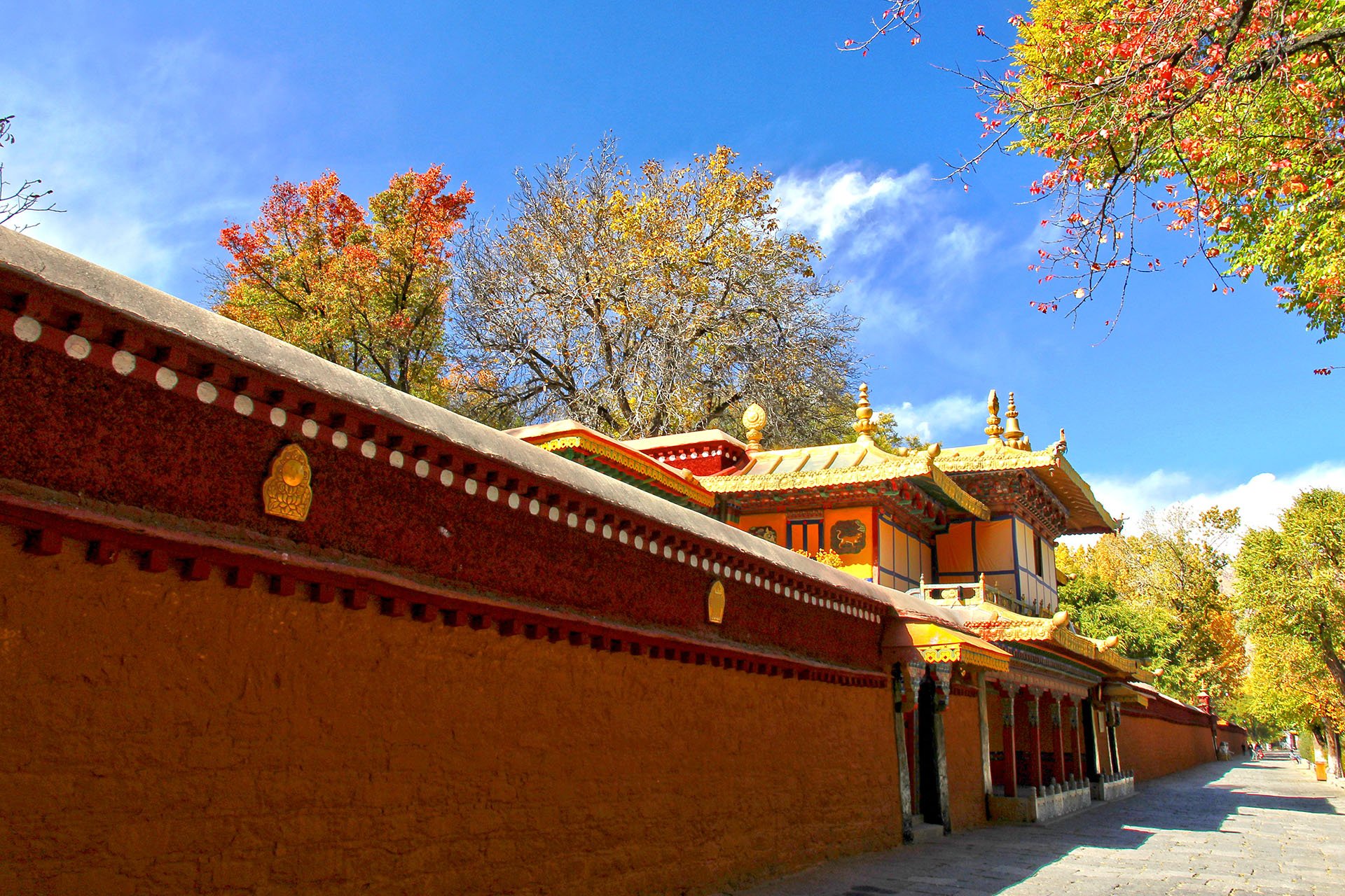 风景 自然风光 旅行 天堂 西藏 旅游胜地 自由 净化心灵
