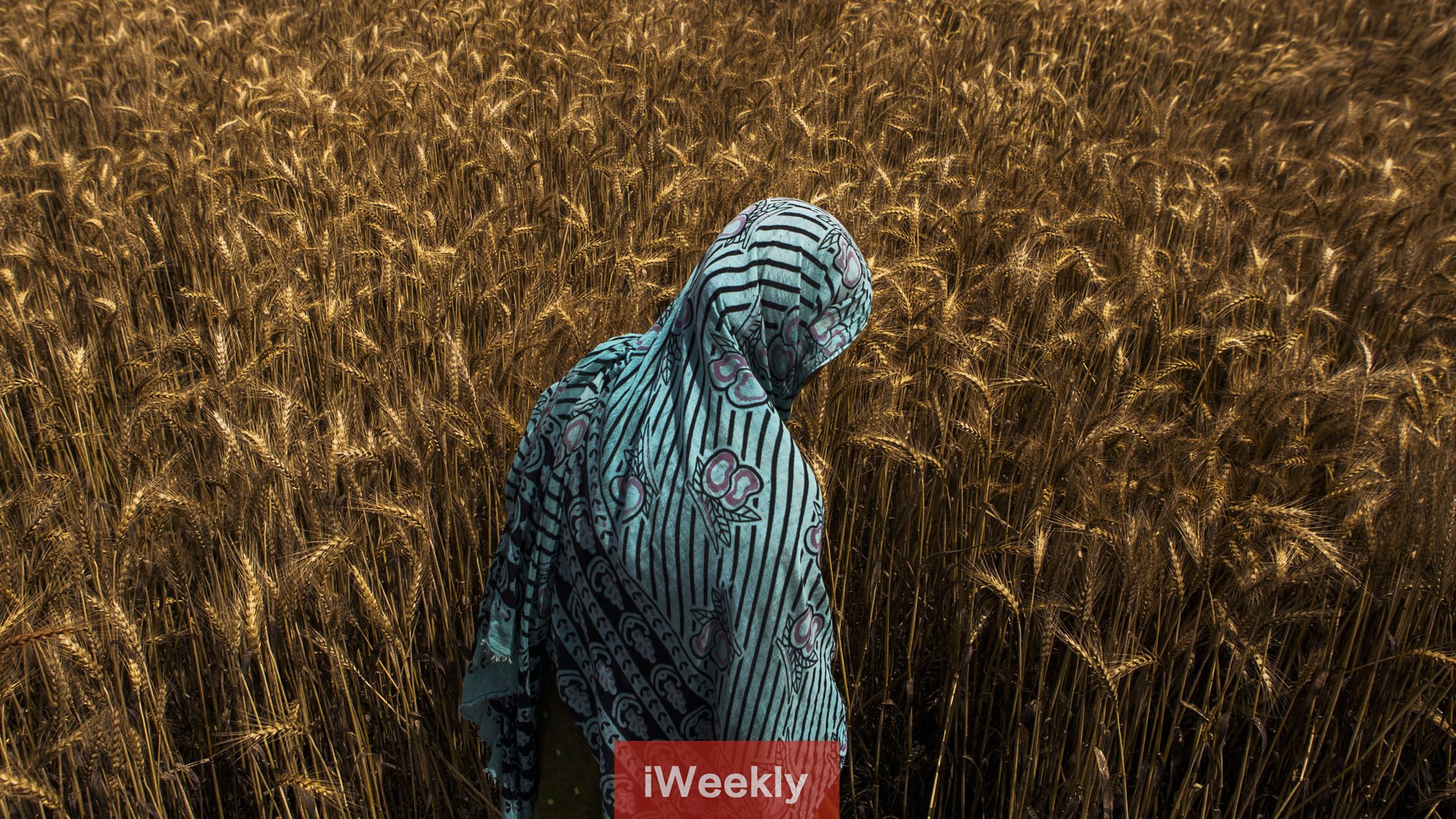 iweekly 周末画报 风景 摄影