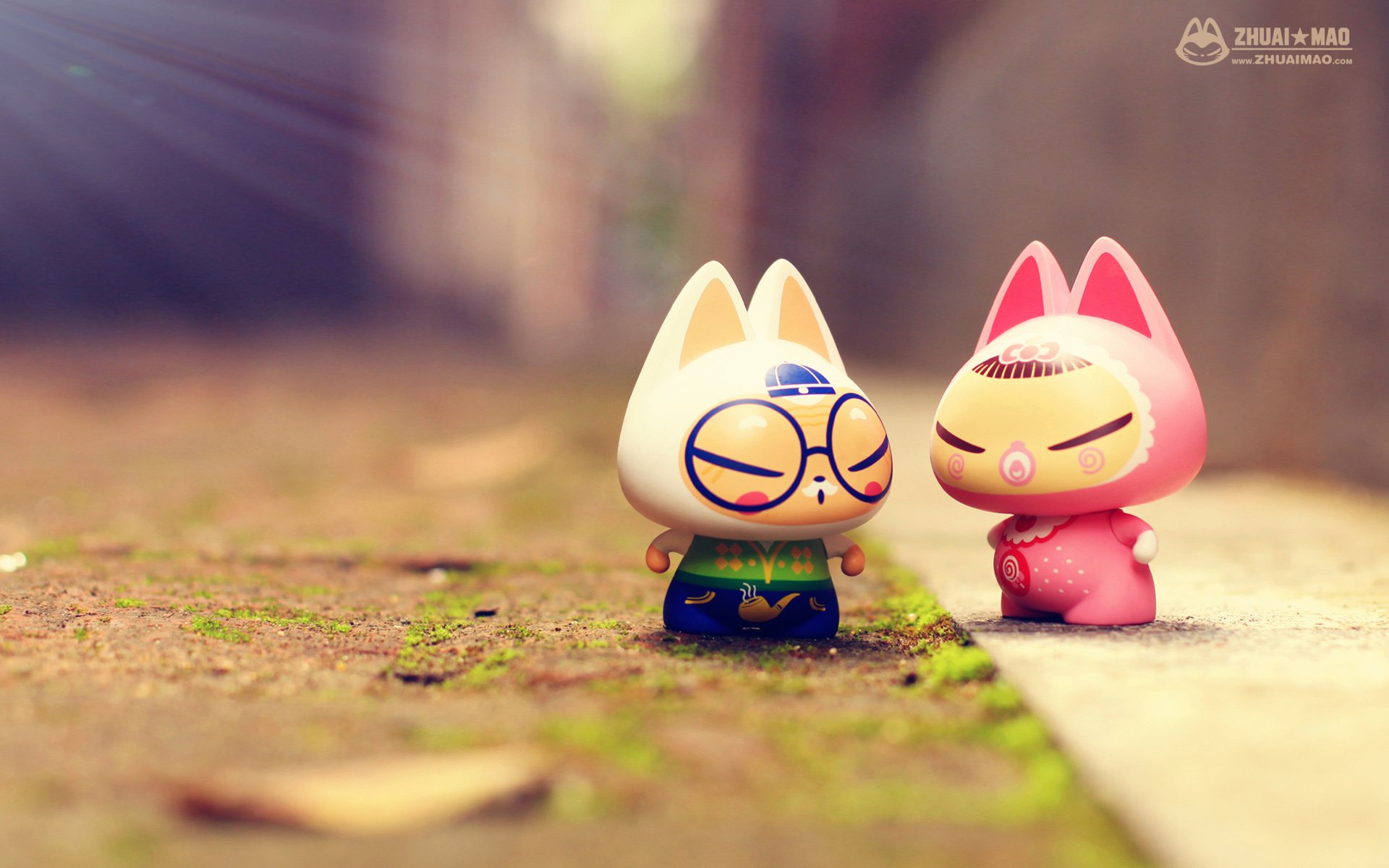 拽猫 父亲节 摄影 小清新 静物 写真