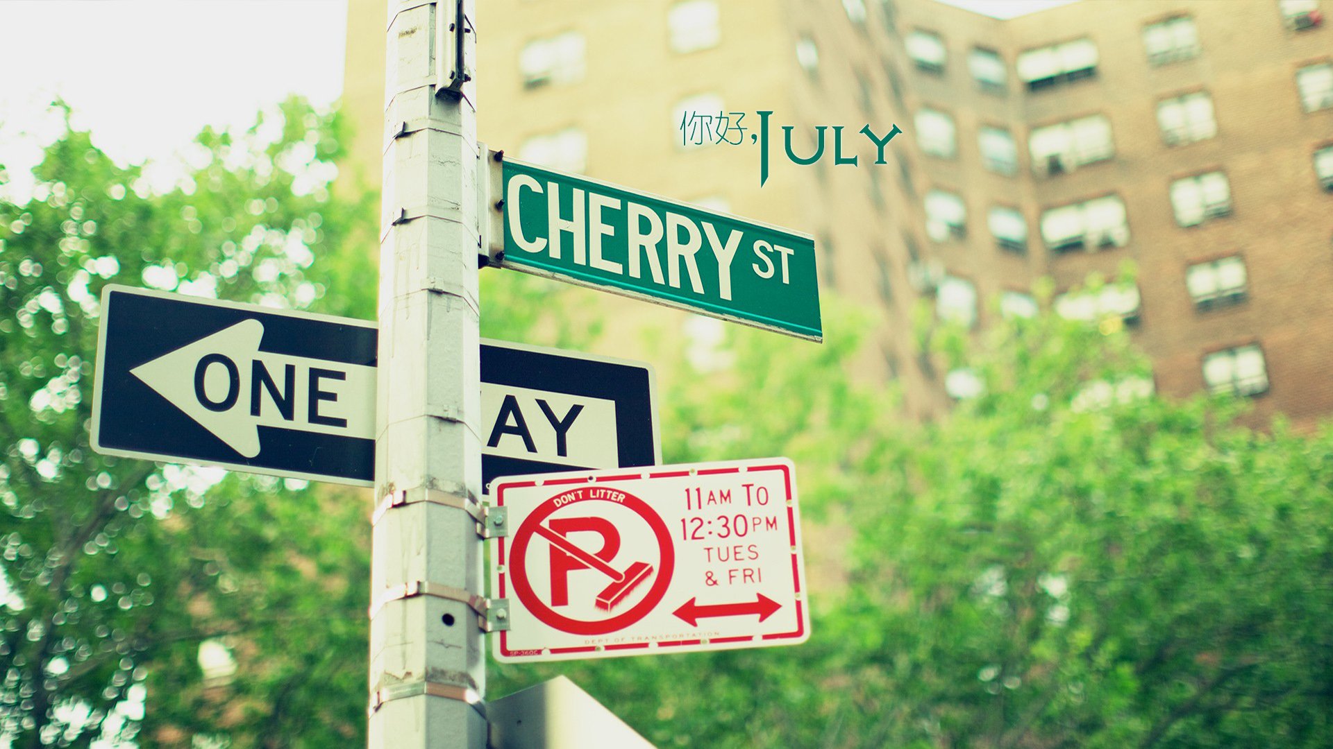 小清新 温暖 安静 七月 你好