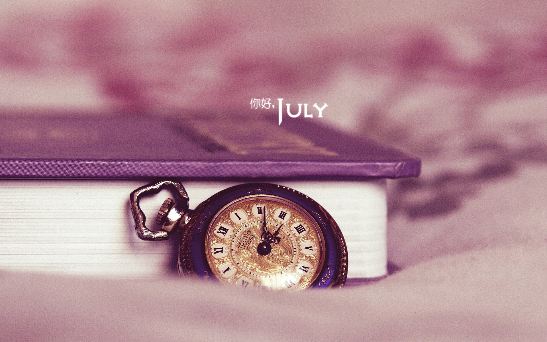 小清新 温暖 安静 七月 你好