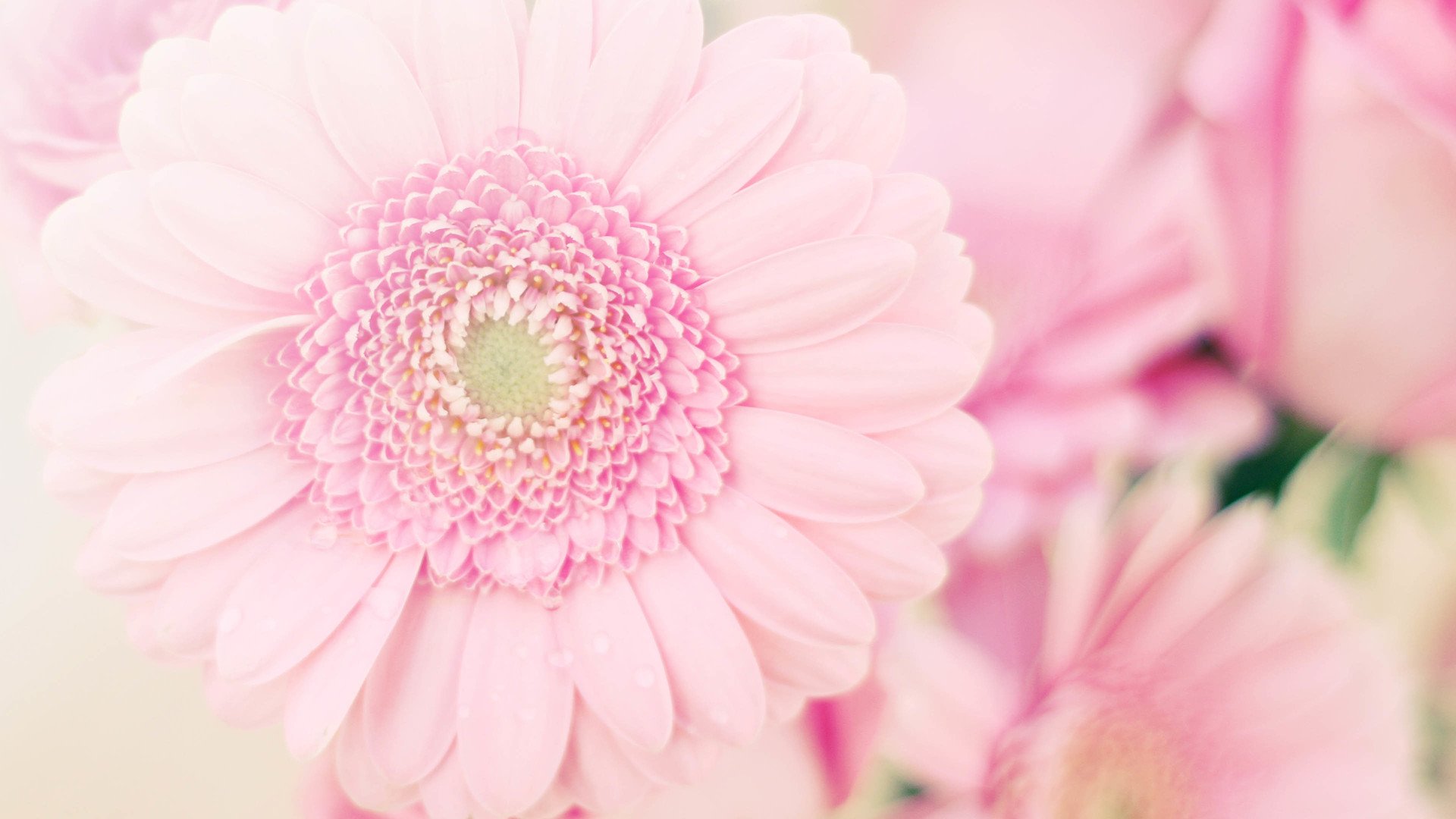 小清新 温暖 安静 七月 你好