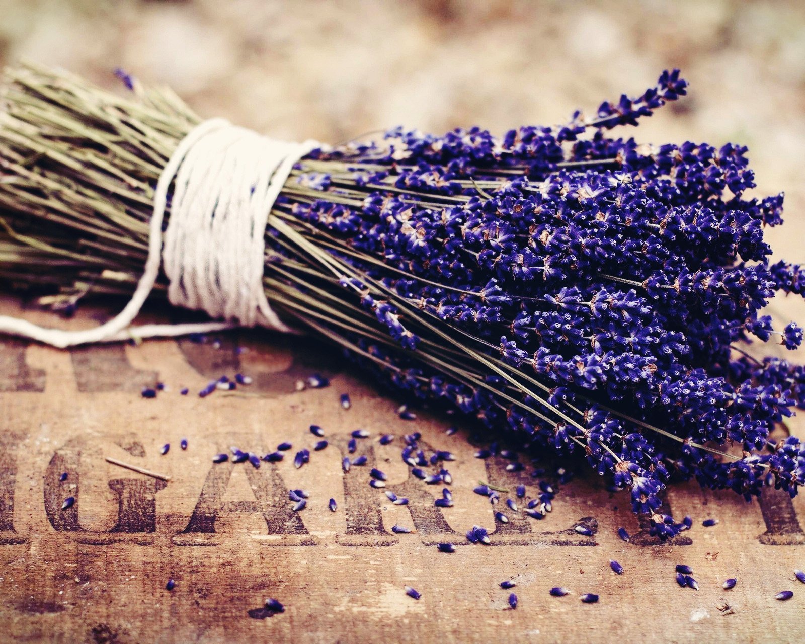 小清新 唯美 薰衣草 风景 植物 等待爱情 紫色