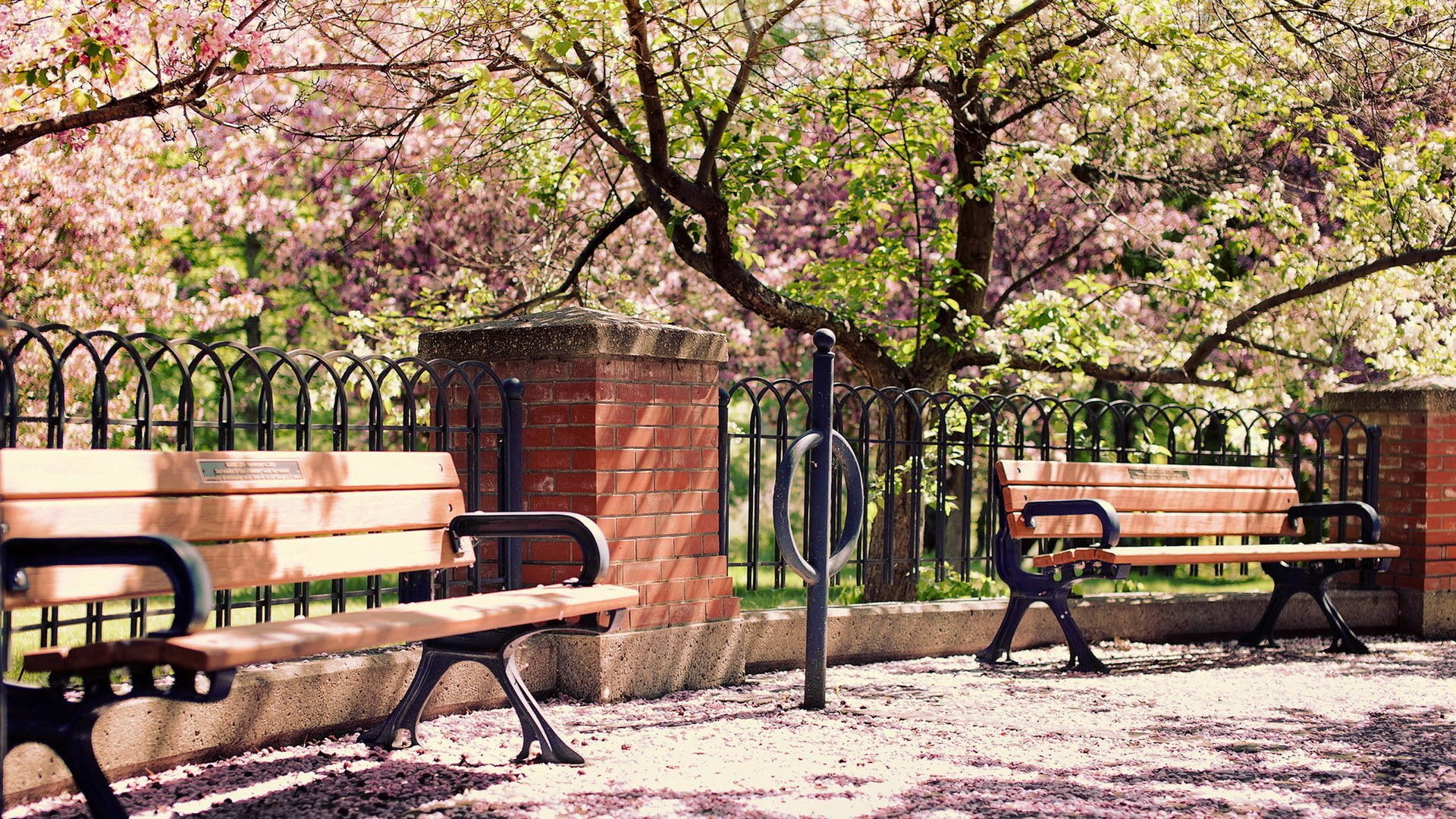 小清新 唯美 温馨 安静 椅子