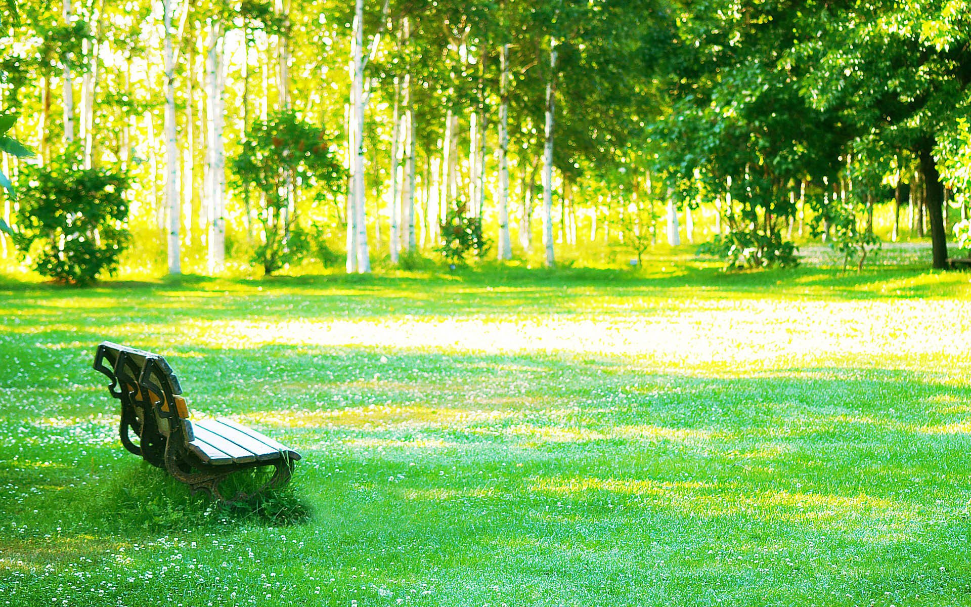 小清新 唯美 温馨 安静 绿色养眼 植物