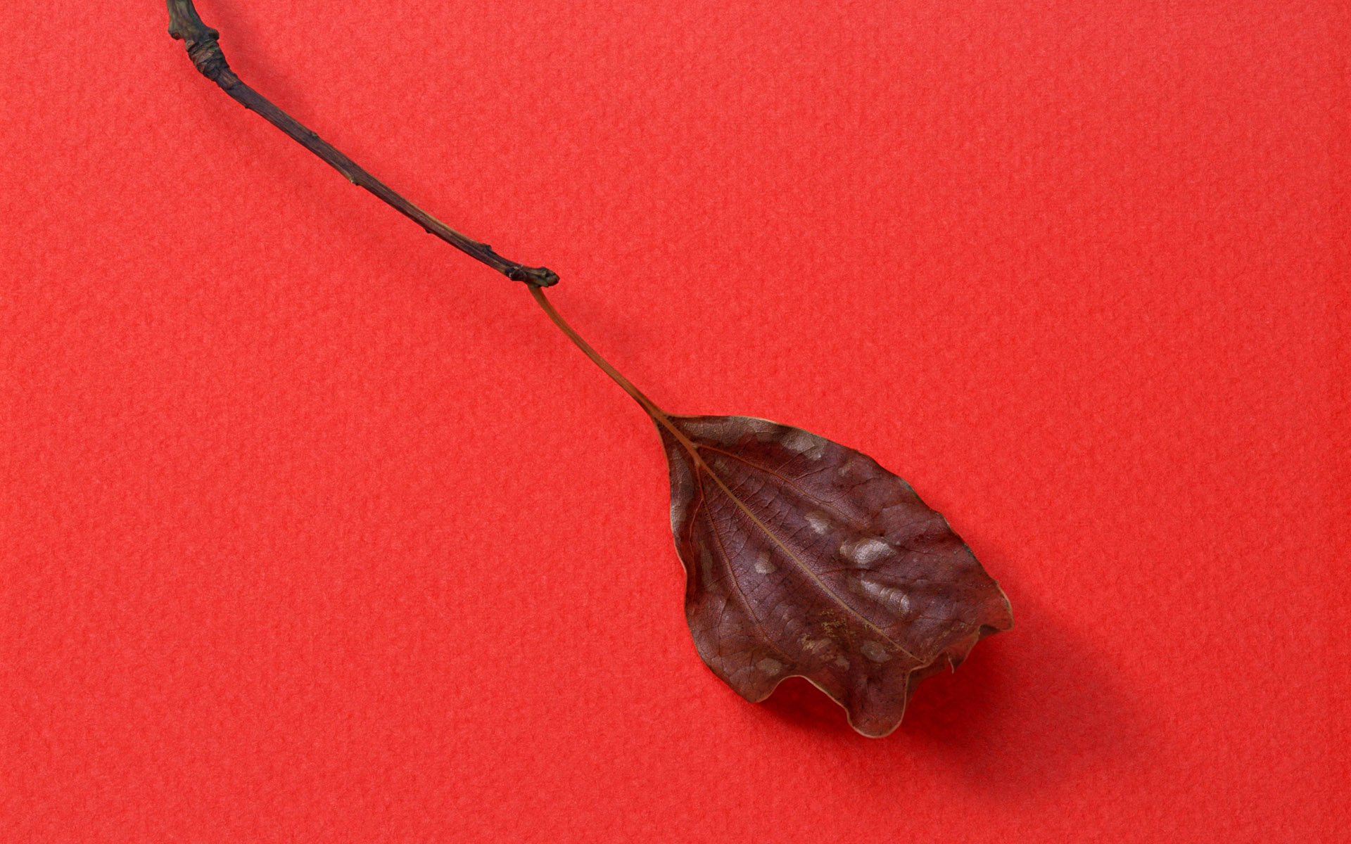 炫酷 另类 个性