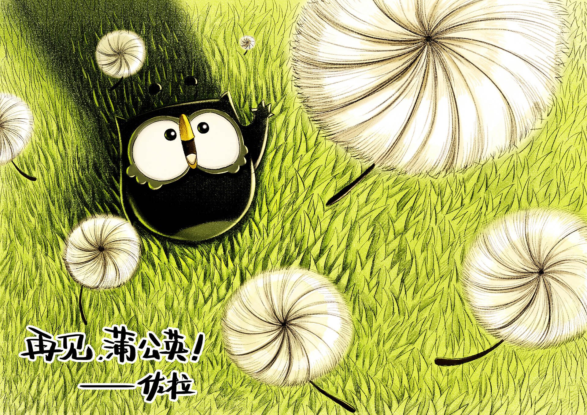 猫头鹰佐拉 文字 励志  正能量 心灵鸡汤